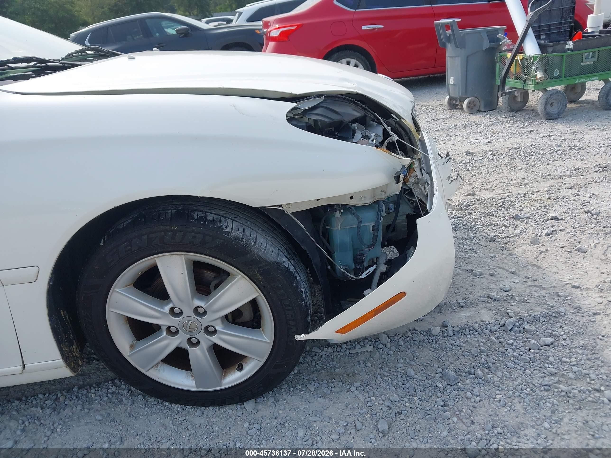 2005 Lexus Es 330   White vin: JTHBA30G555061454