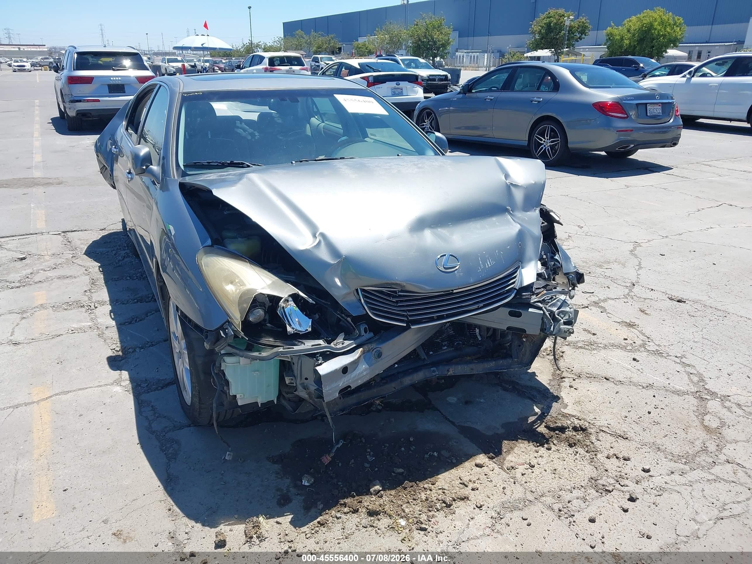 2006 Lexus Es 330   Gray vin: JTHBA30G565155240
