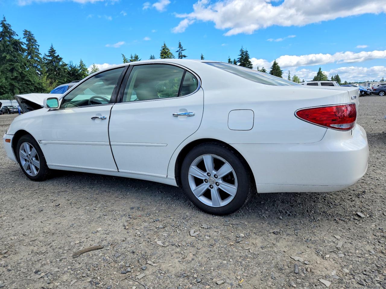 2006 Lexus Es 330 White vin: JTHBA30G565171440