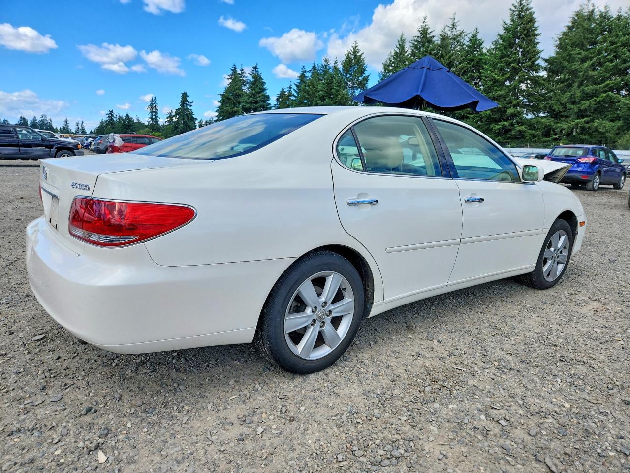 2006 Lexus Es 330 White vin: JTHBA30G565171440