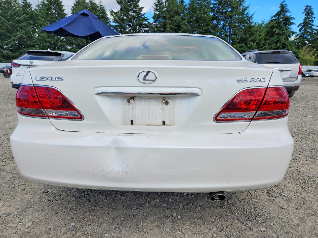 2006 Lexus Es 330 White vin: JTHBA30G565171440