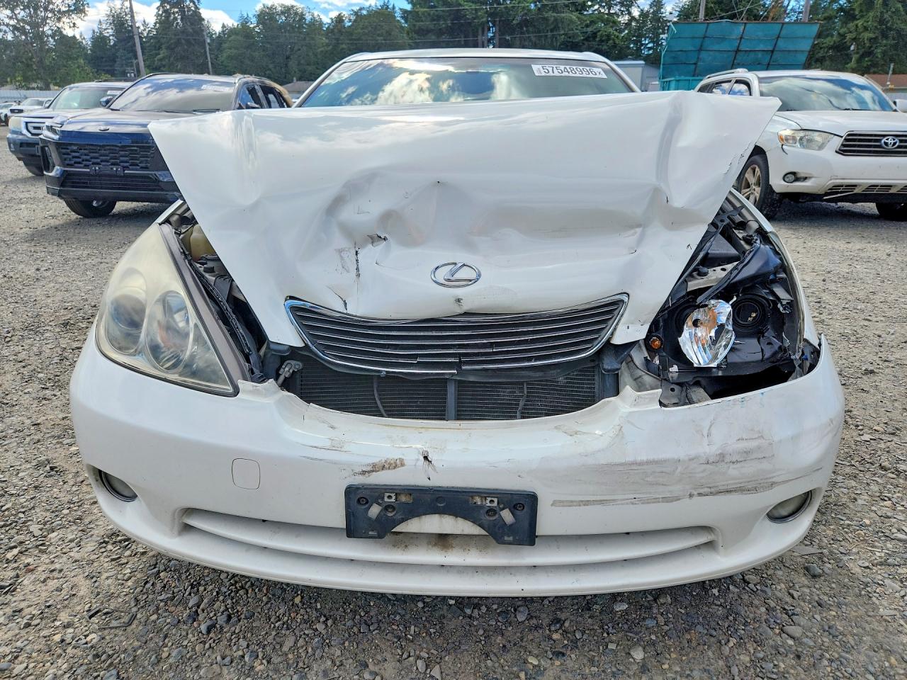 2006 Lexus Es 330 White vin: JTHBA30G565171440