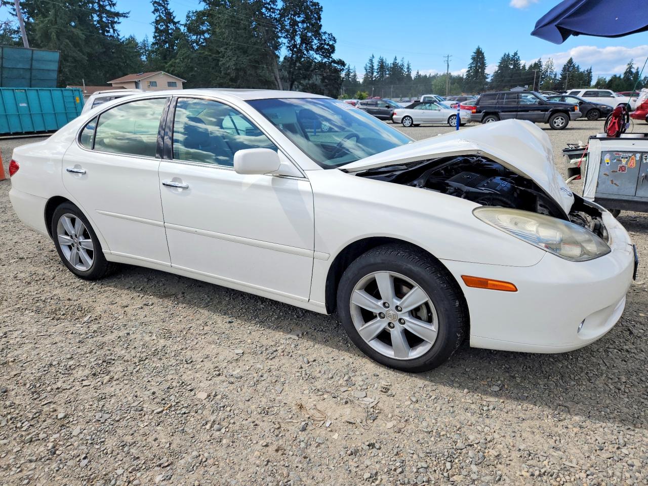 2006 Lexus Es 330 White vin: JTHBA30G565171440