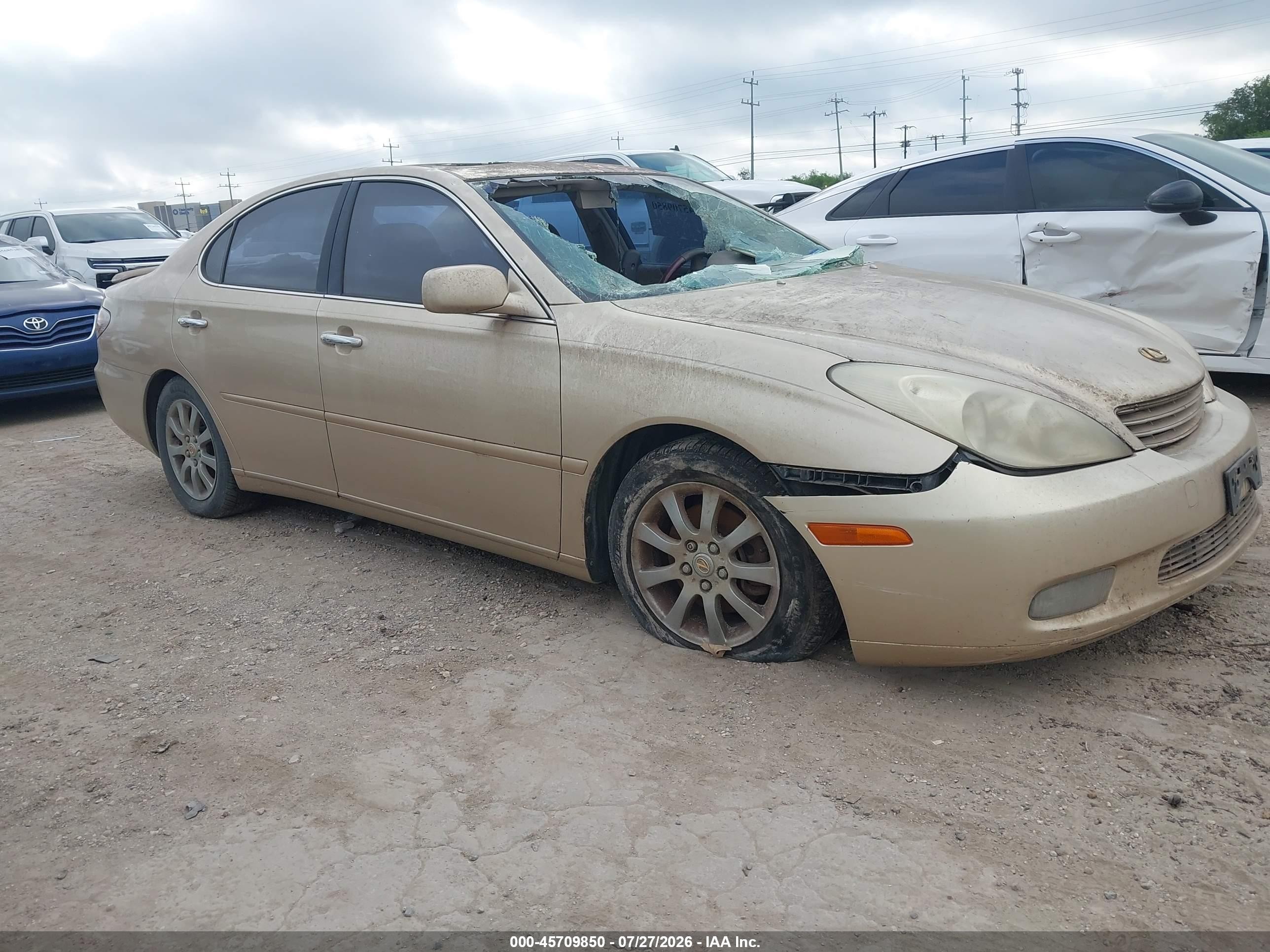 JTHBA30G640016275
