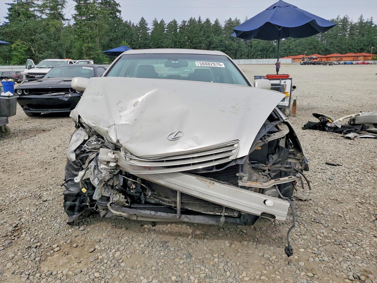2004 Lexus Es 330 Silver vin: JTHBA30G640019578