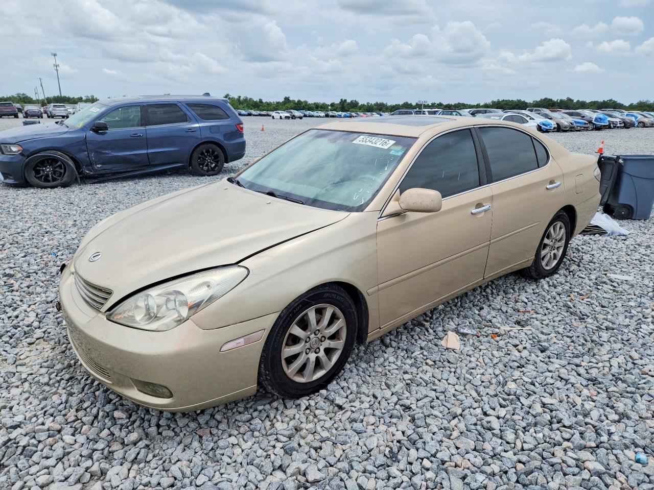 JTHBA30G640021802