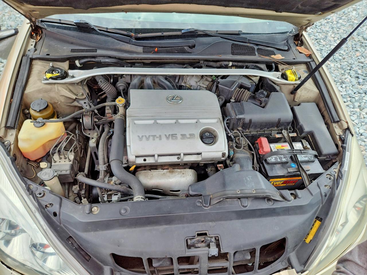 2004 Lexus Es 330 Tan vin: JTHBA30G640021802