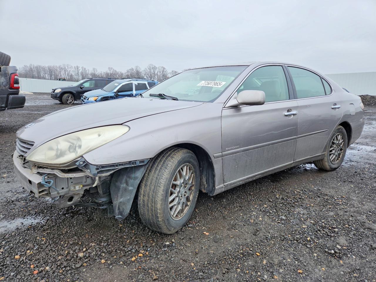 JTHBA30G645031555
