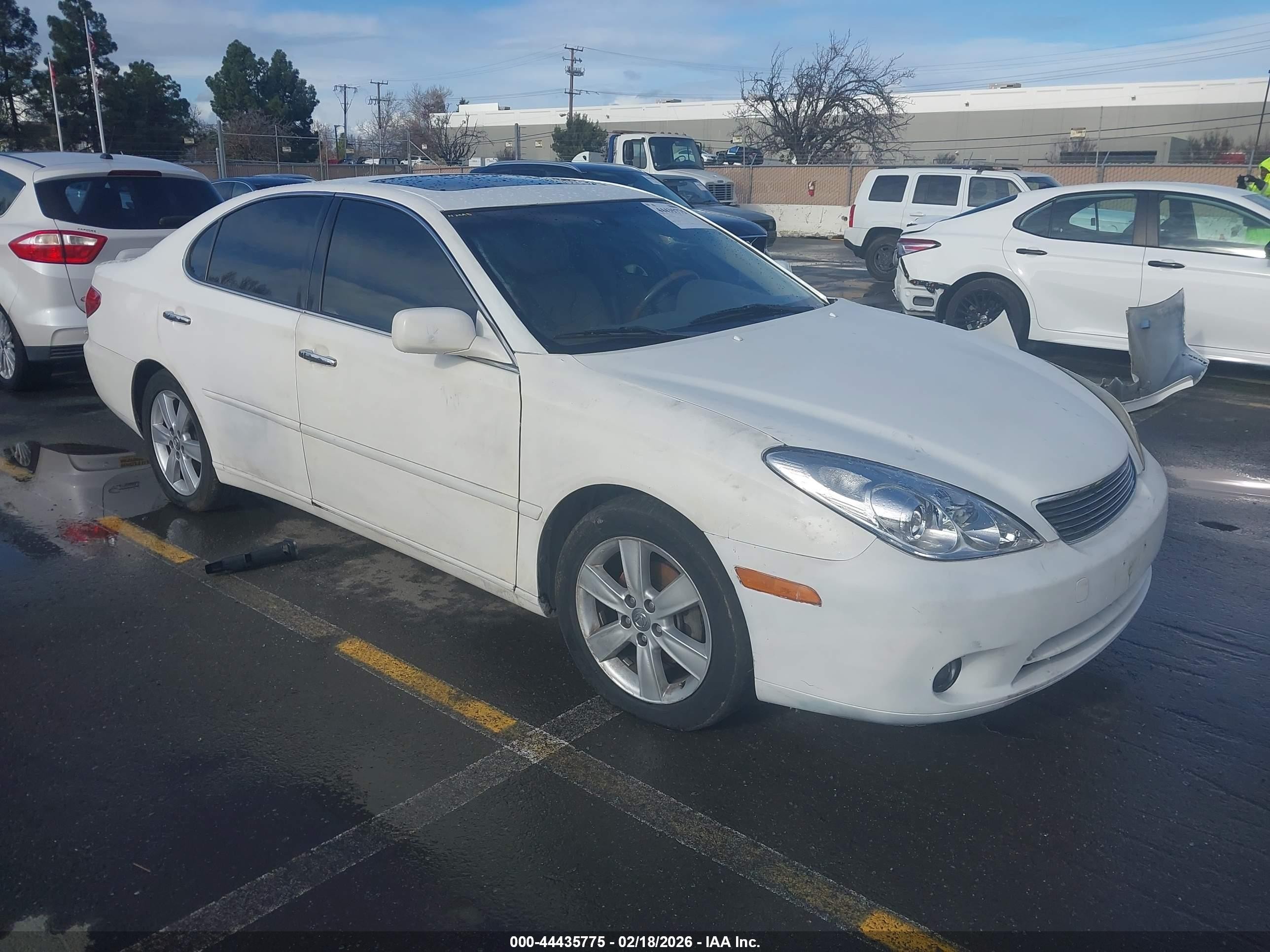 JTHBA30G655079204