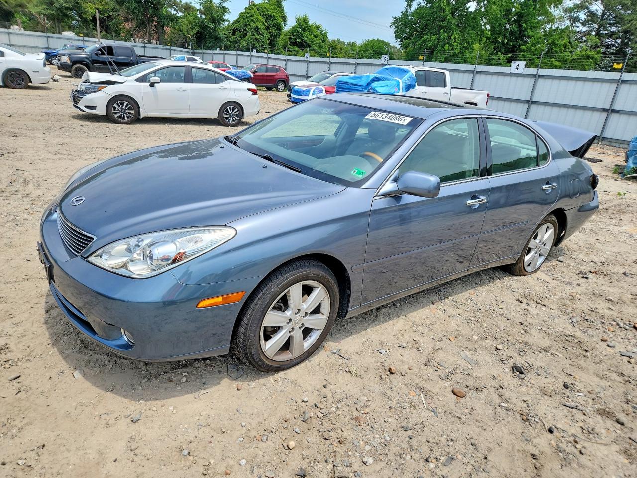 JTHBA30G655088601