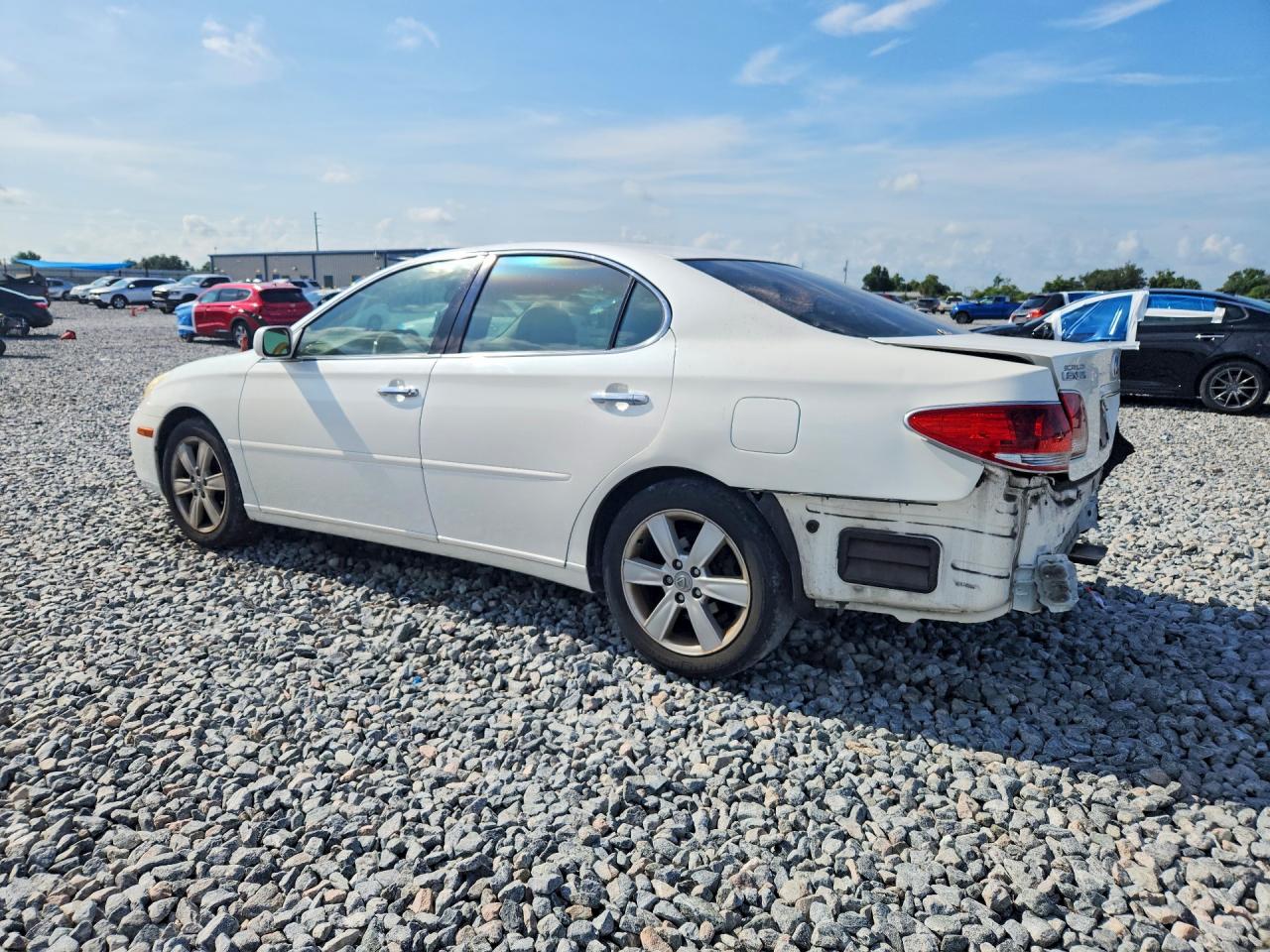 2005 Lexus Es 330 White vin: JTHBA30G655105056