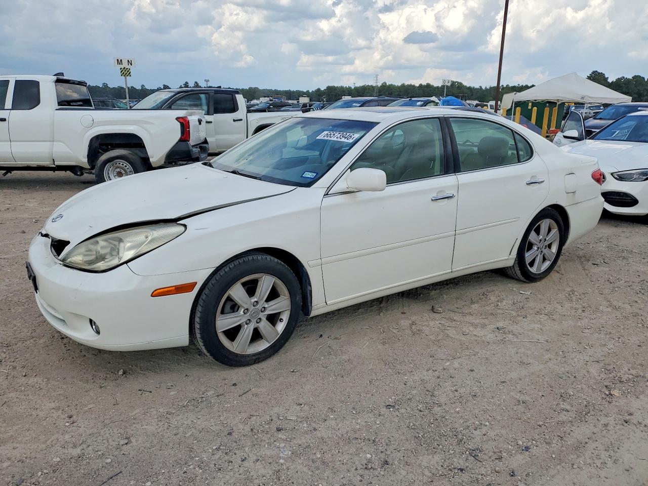 JTHBA30G655139059