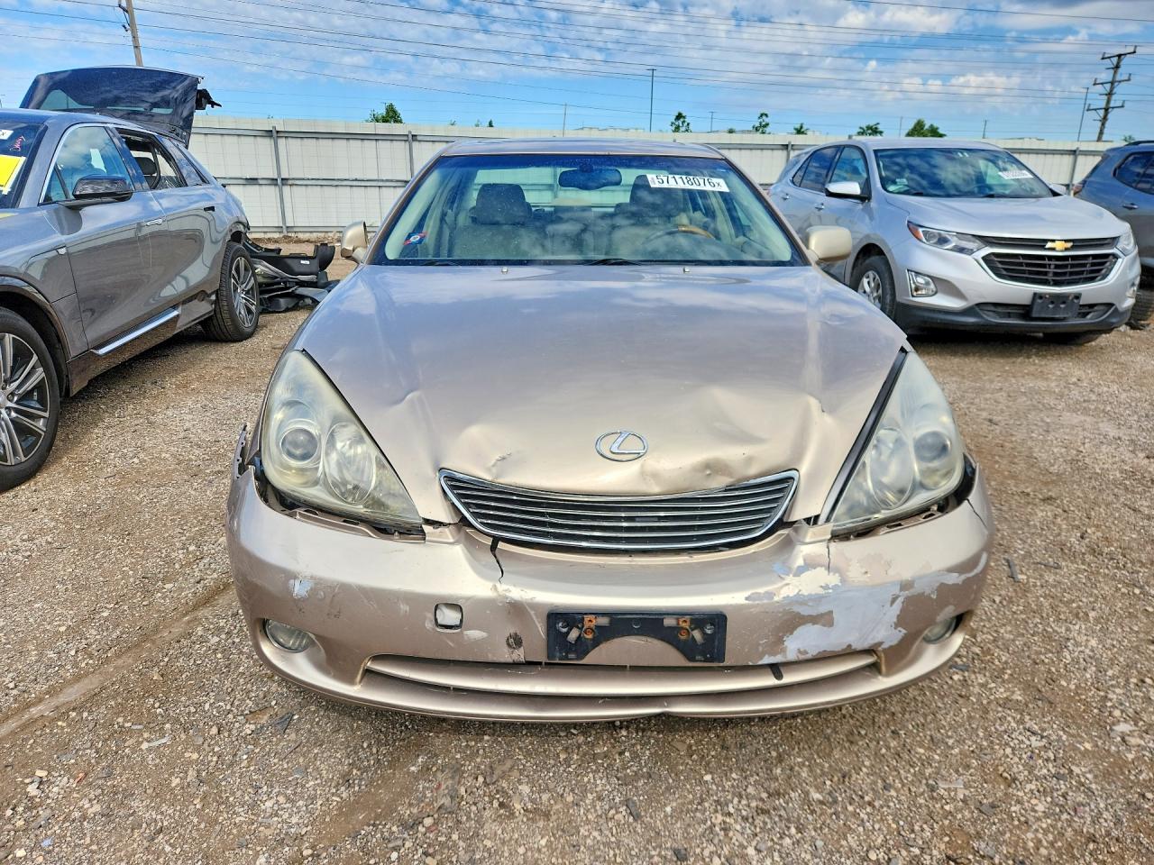 2006 Lexus Es 330 Бежевый vin: JTHBA30G665157241