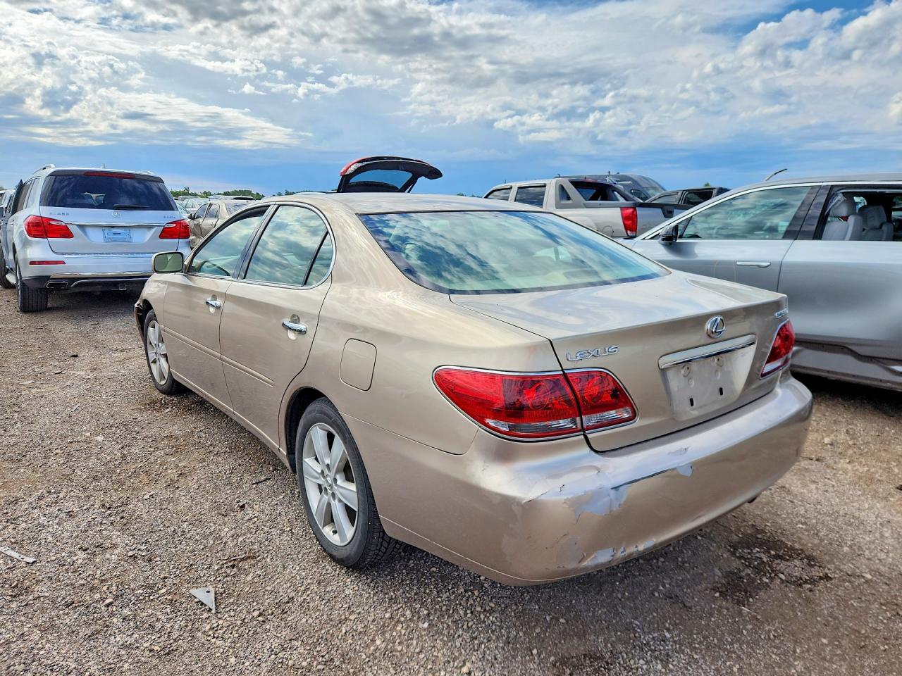 2006 Lexus Es 330 Бежевый vin: JTHBA30G665157241