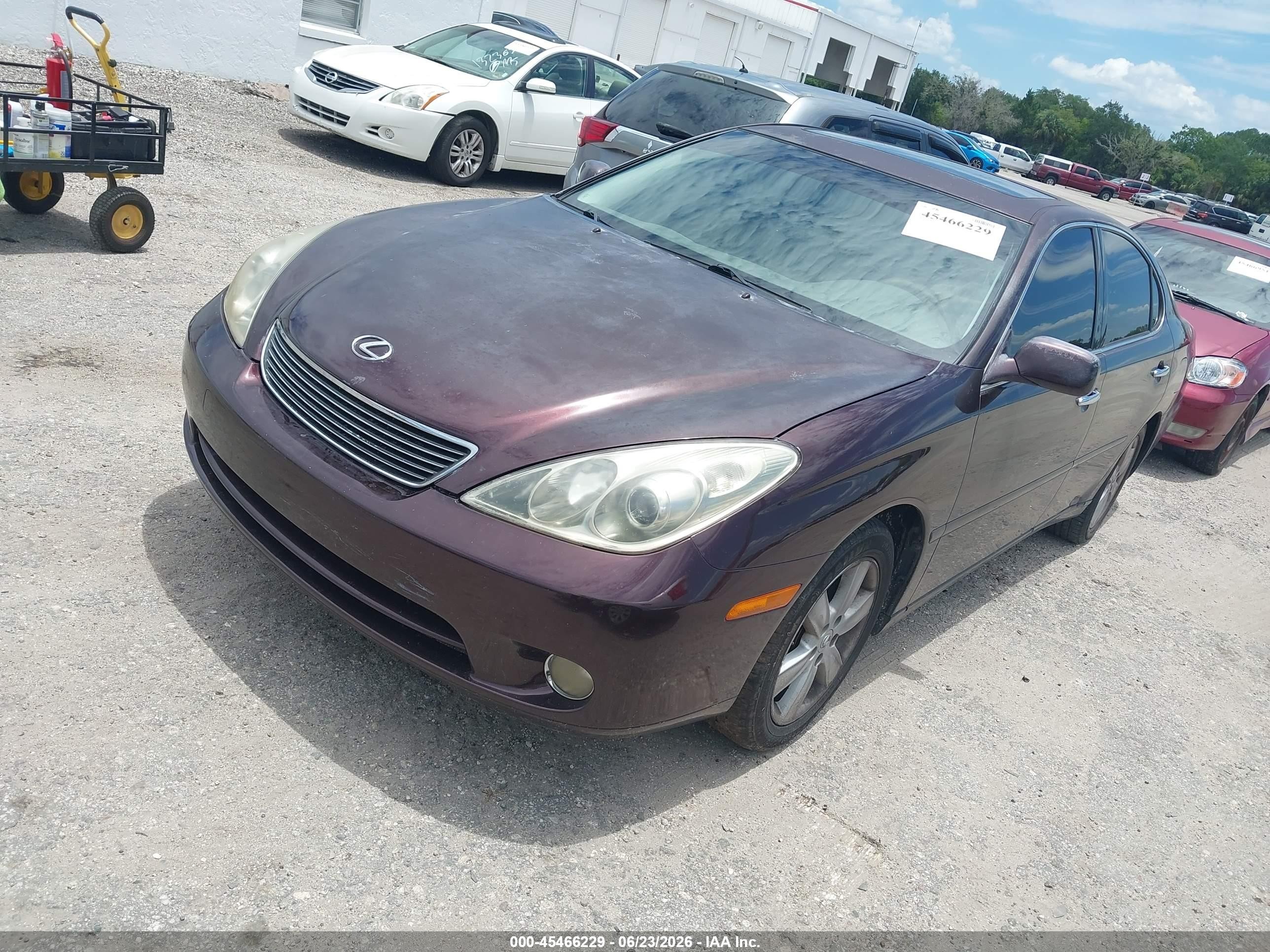 2006 Lexus Es 330   Purple vin: JTHBA30G665171219