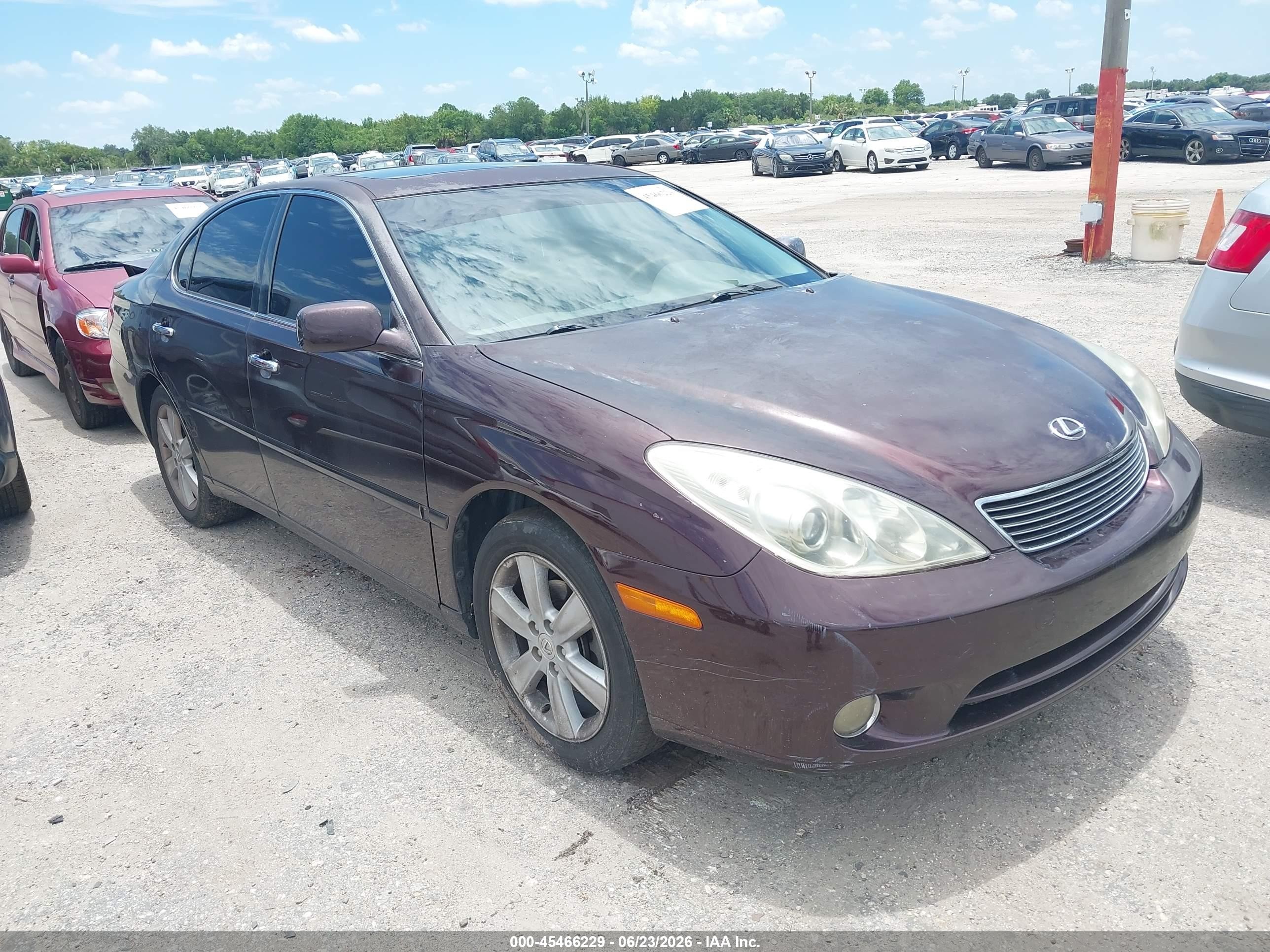 2006 Lexus Es 330   Purple vin: JTHBA30G665171219