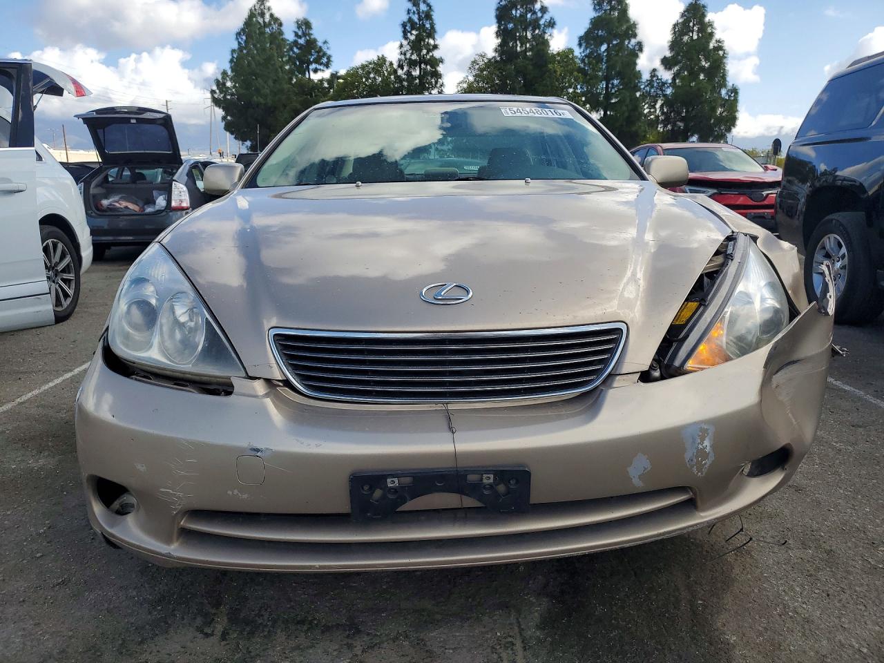 2006 Lexus Es 330 Tan vin: JTHBA30G665174170