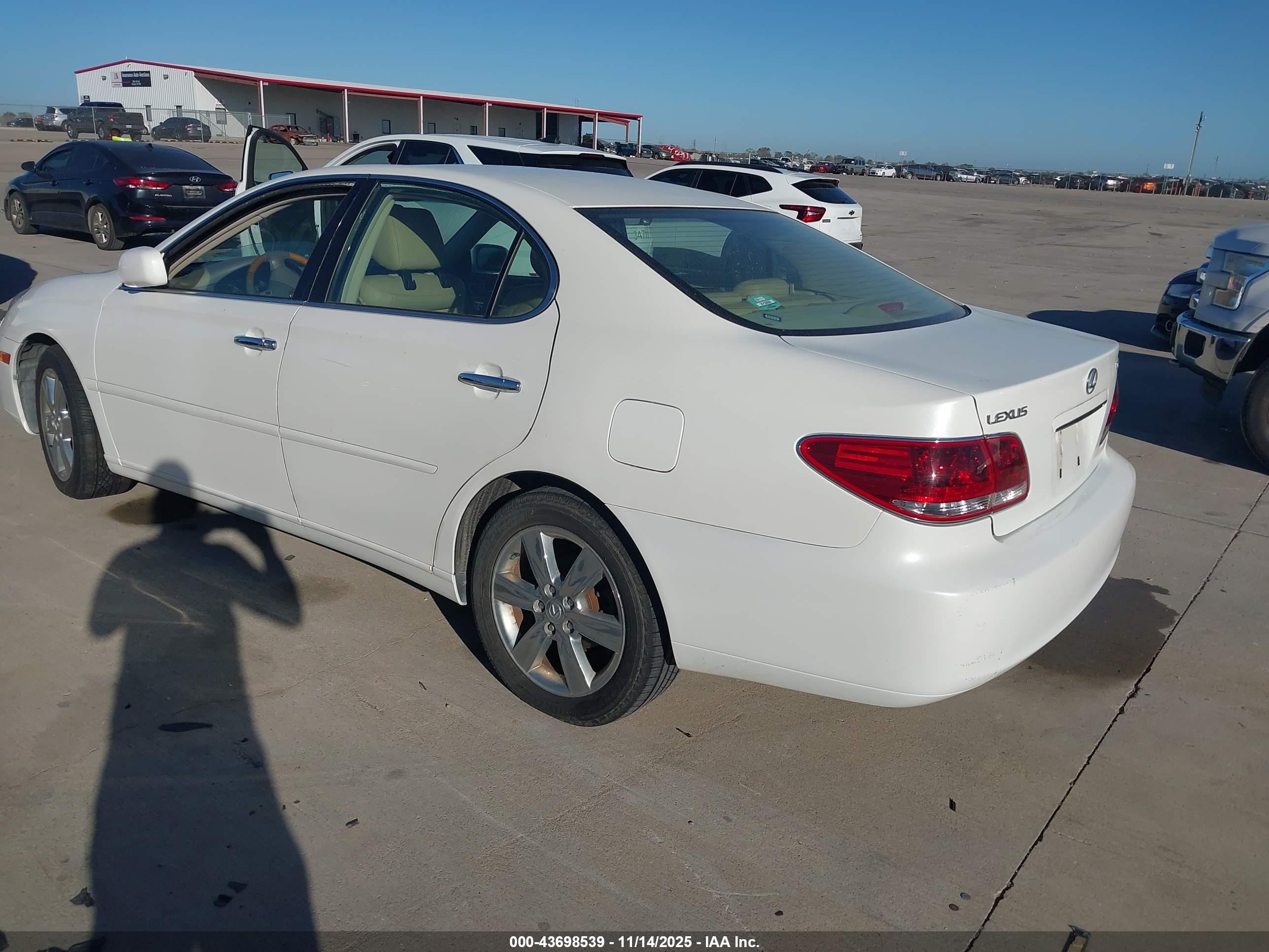 2006 Lexus Es 330   White vin: JTHBA30G665175559