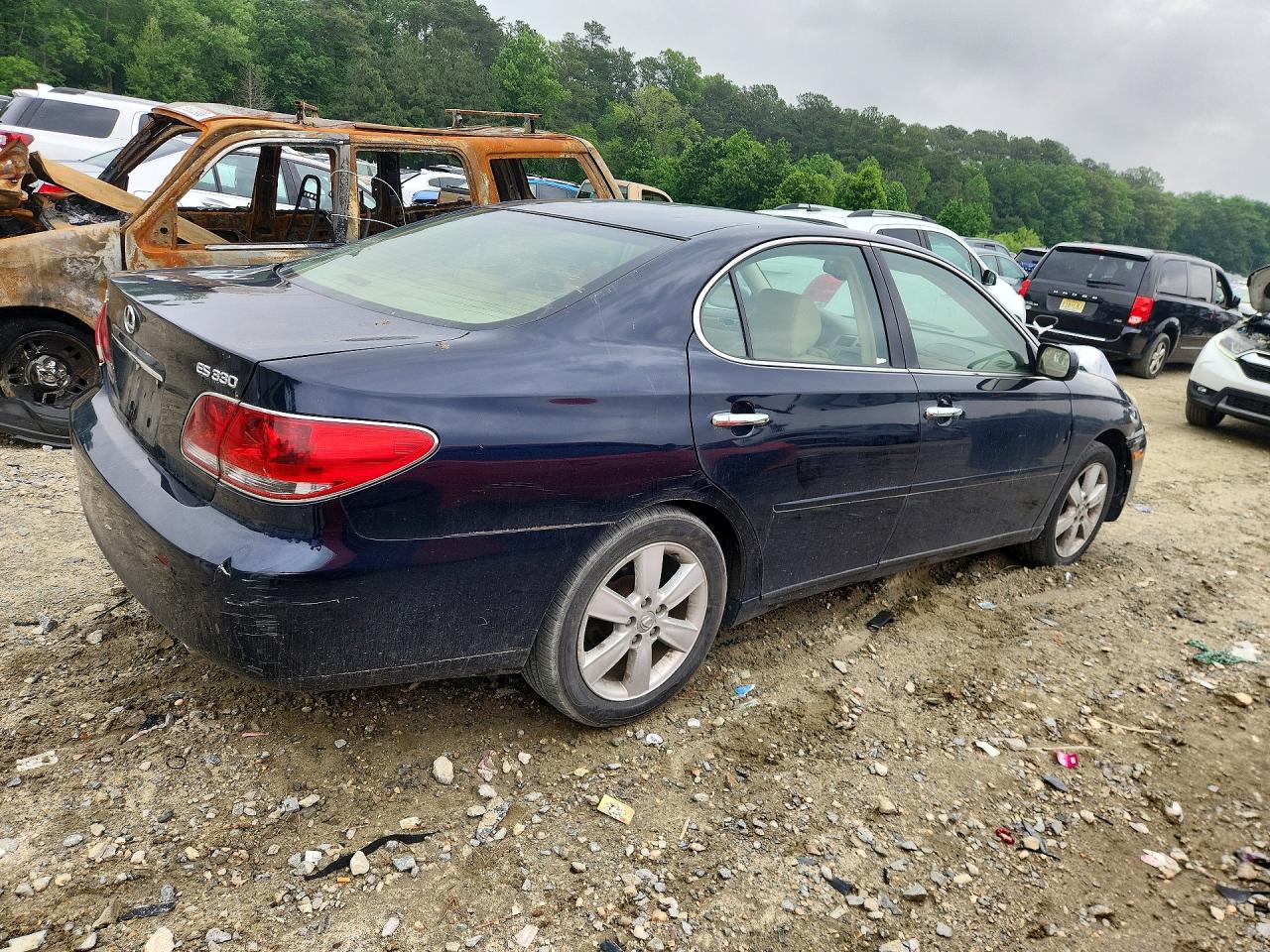 2005 Lexus Es 330 Синий vin: JTHBA30G755056191