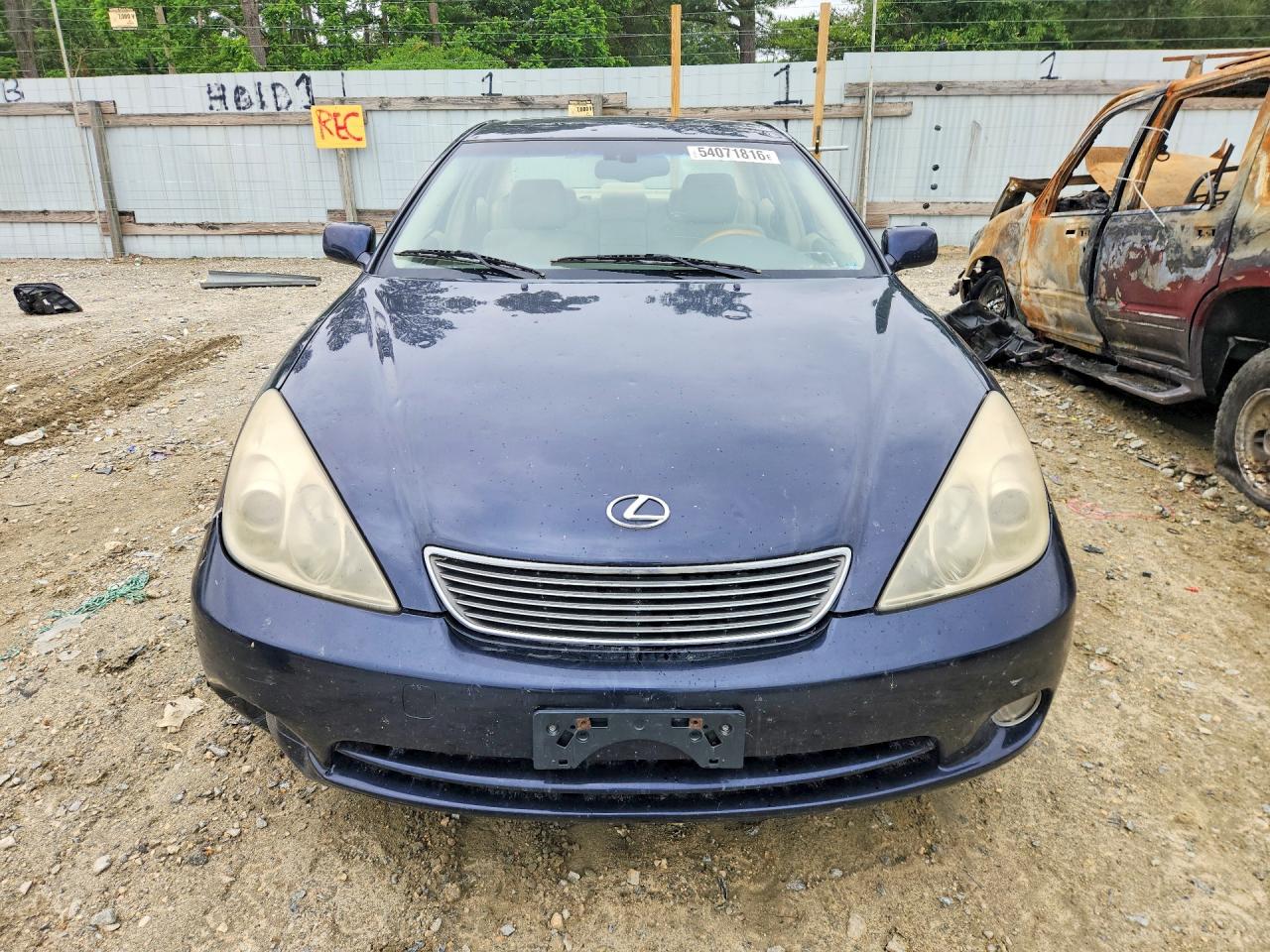 2005 Lexus Es 330 Синий vin: JTHBA30G755056191