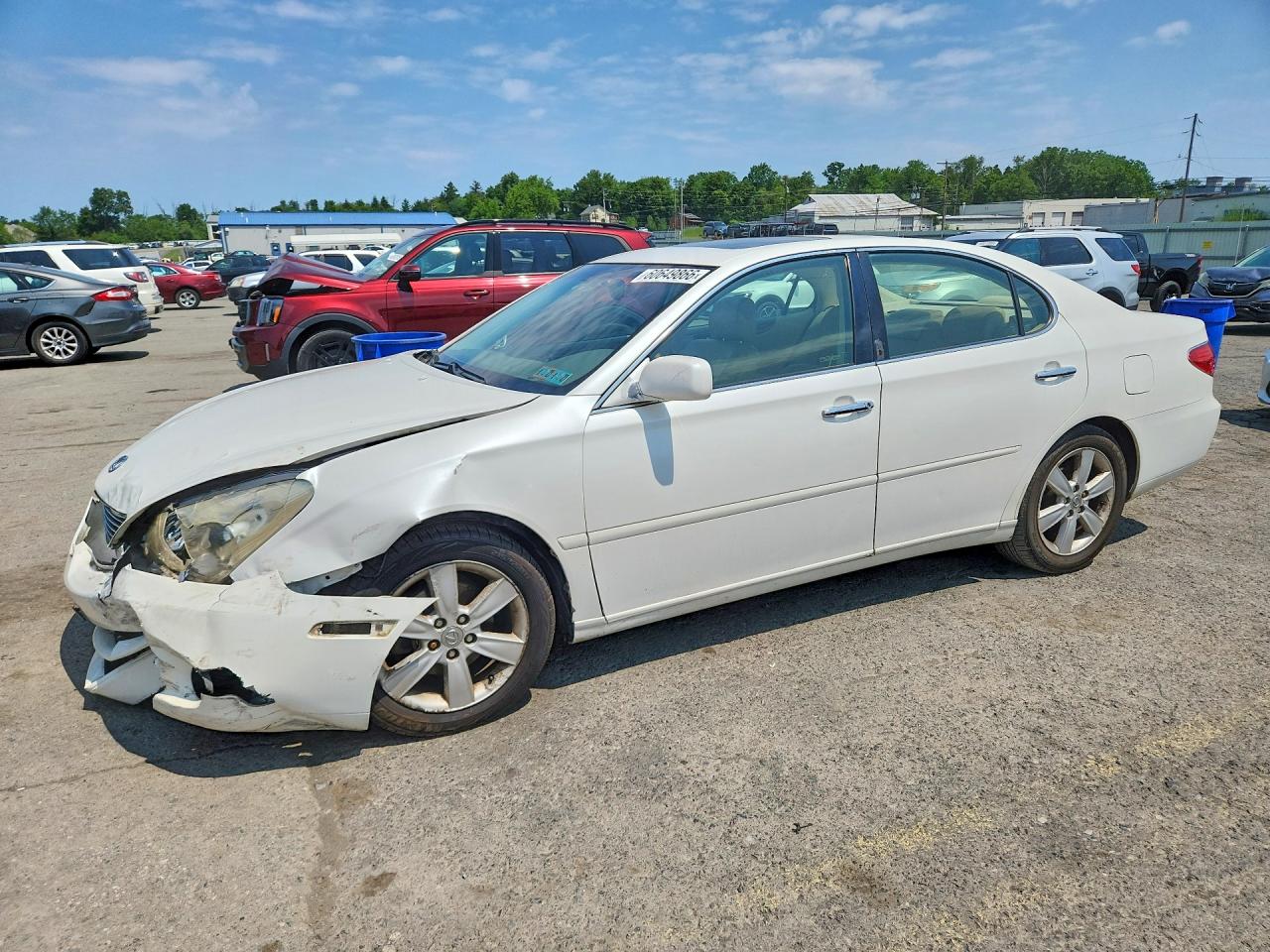 2005 Lexus Es 330 White vin: JTHBA30G755059995