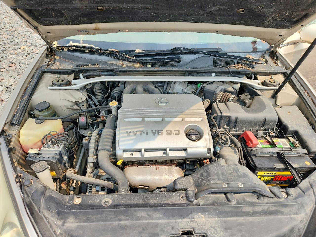 2005 Lexus Es 330 Желто-коричневый vin: JTHBA30G755061052