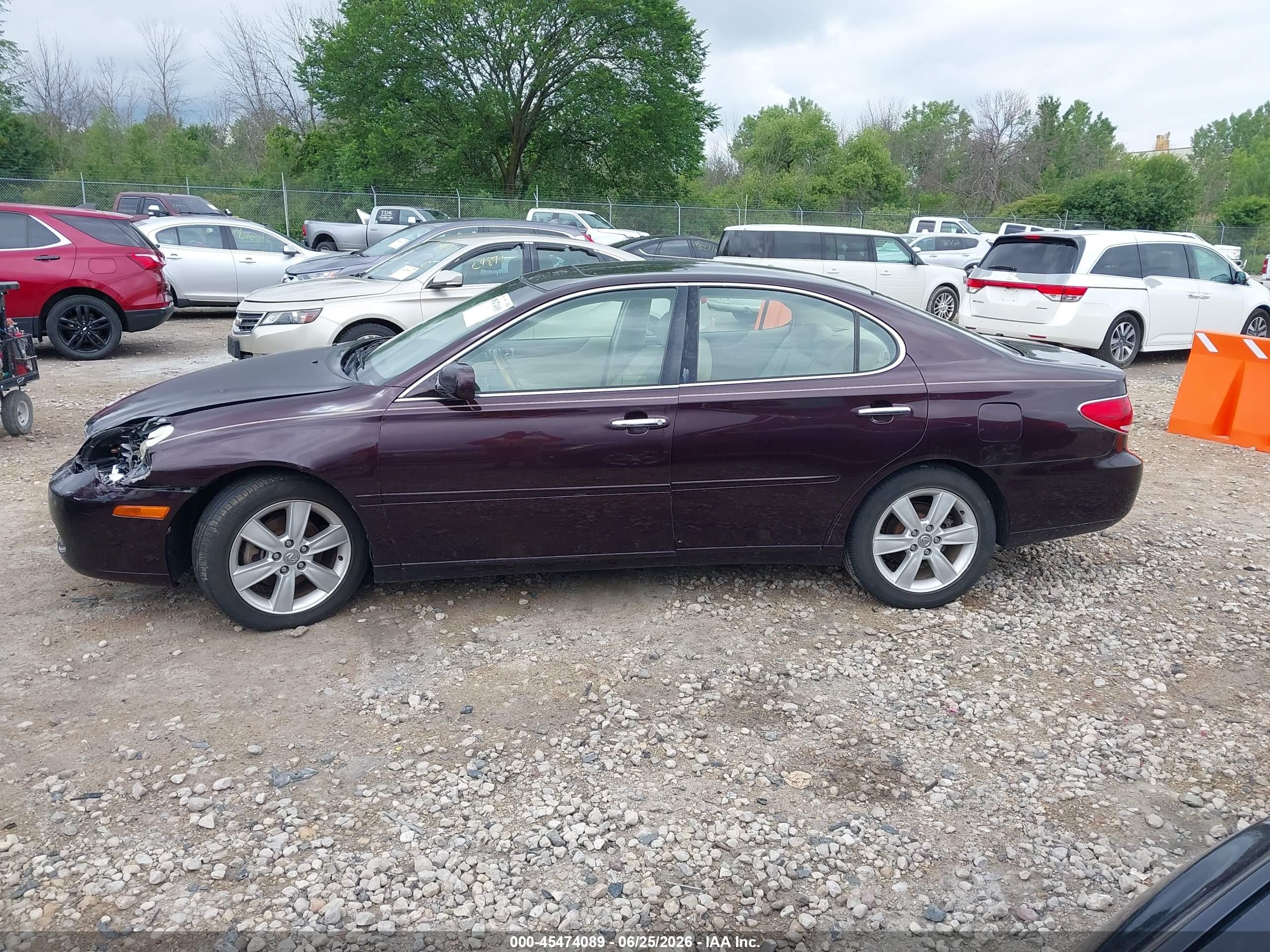 2005 Lexus Es 330 Black vin: JTHBA30G755072438