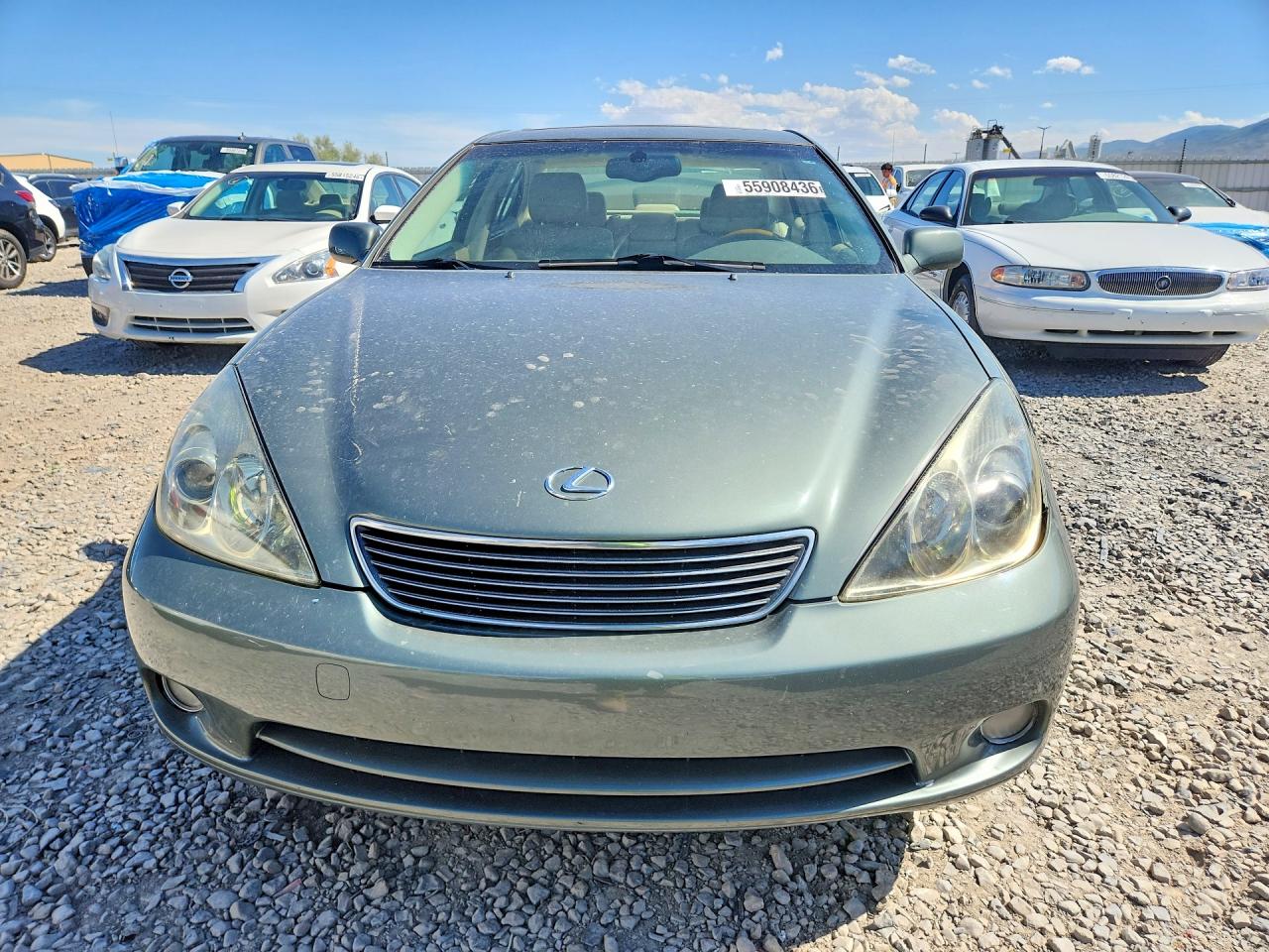 2005 Lexus Es 330 Green vin: JTHBA30G755085223