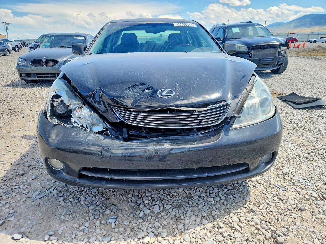 2005 Lexus Es 330 Black vin: JTHBA30G755088252