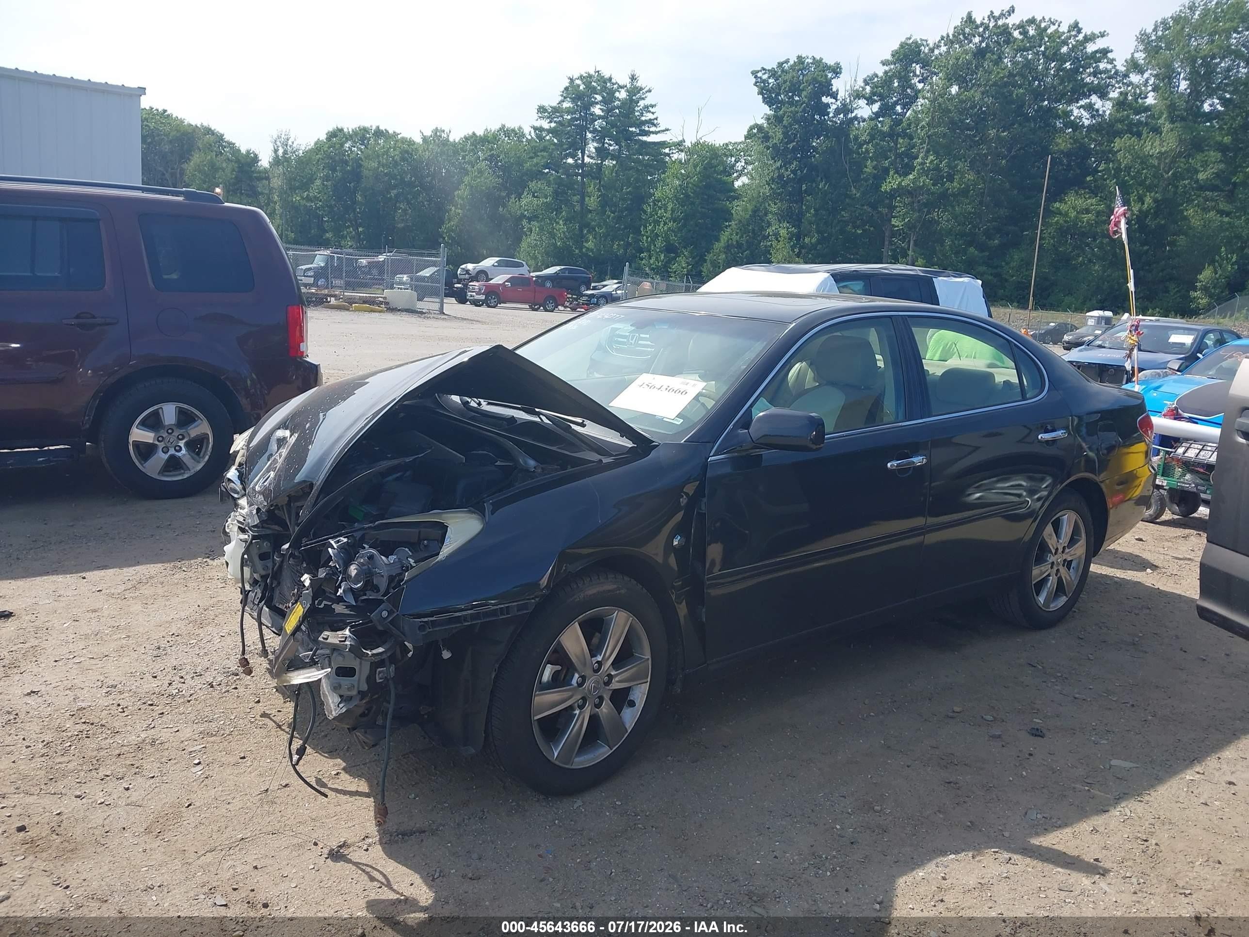 2006 Lexus Es 330   Black vin: JTHBA30G765150315