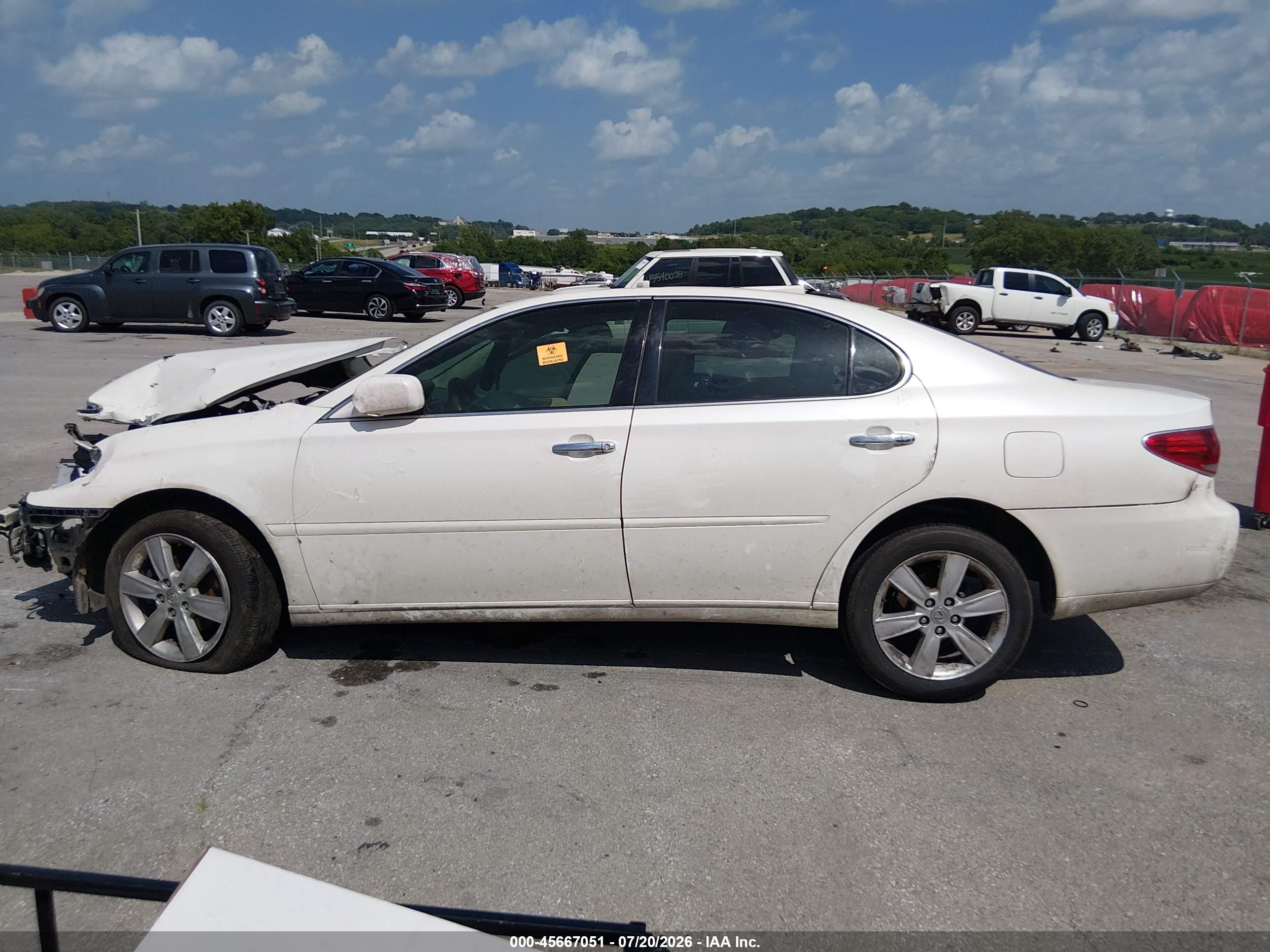 2006 Lexus Es 330   Белый vin: JTHBA30G765155353
