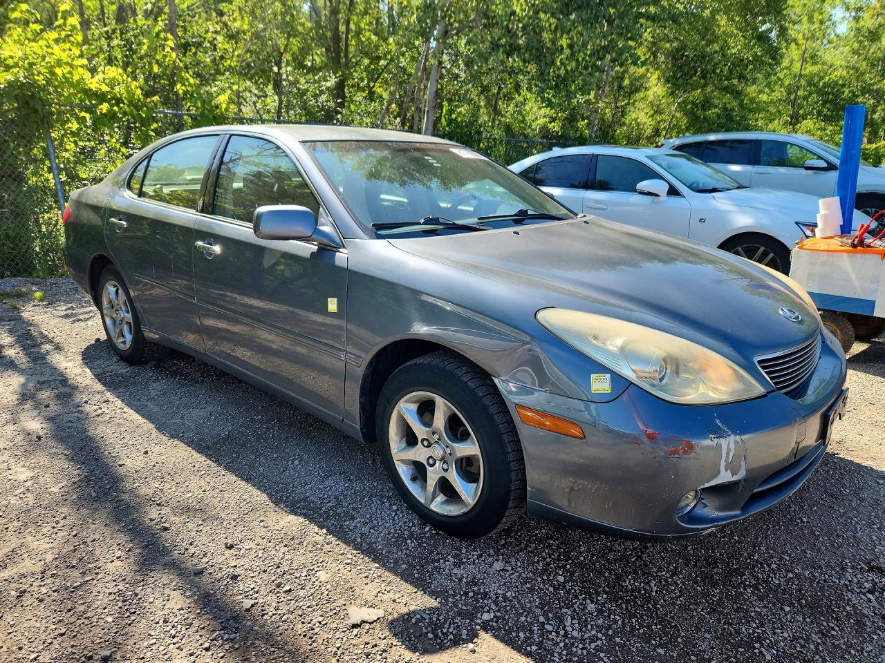 2006 Lexus Es 330 Gray vin: JTHBA30G765174016