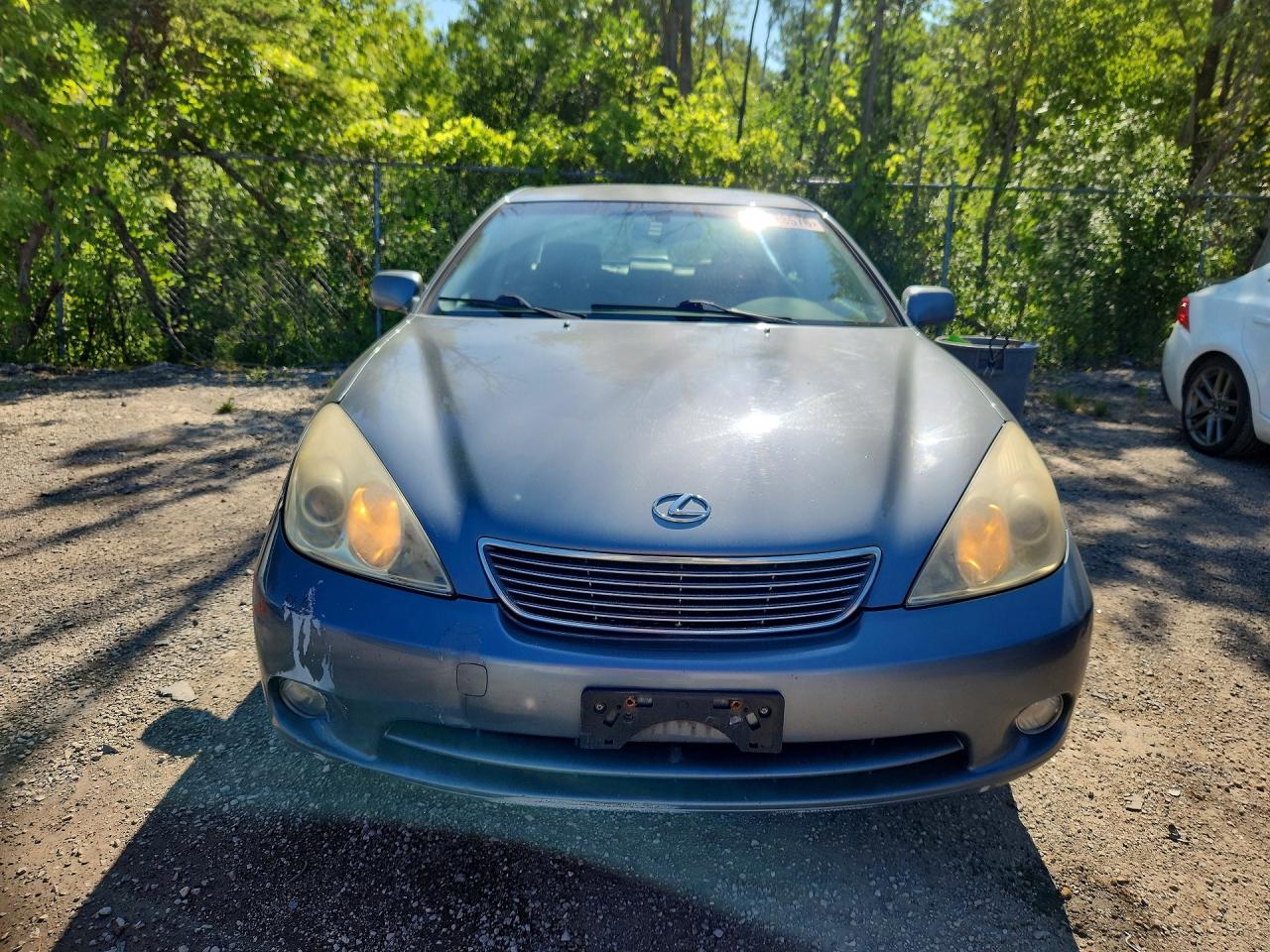2006 Lexus Es 330 Gray vin: JTHBA30G765174016