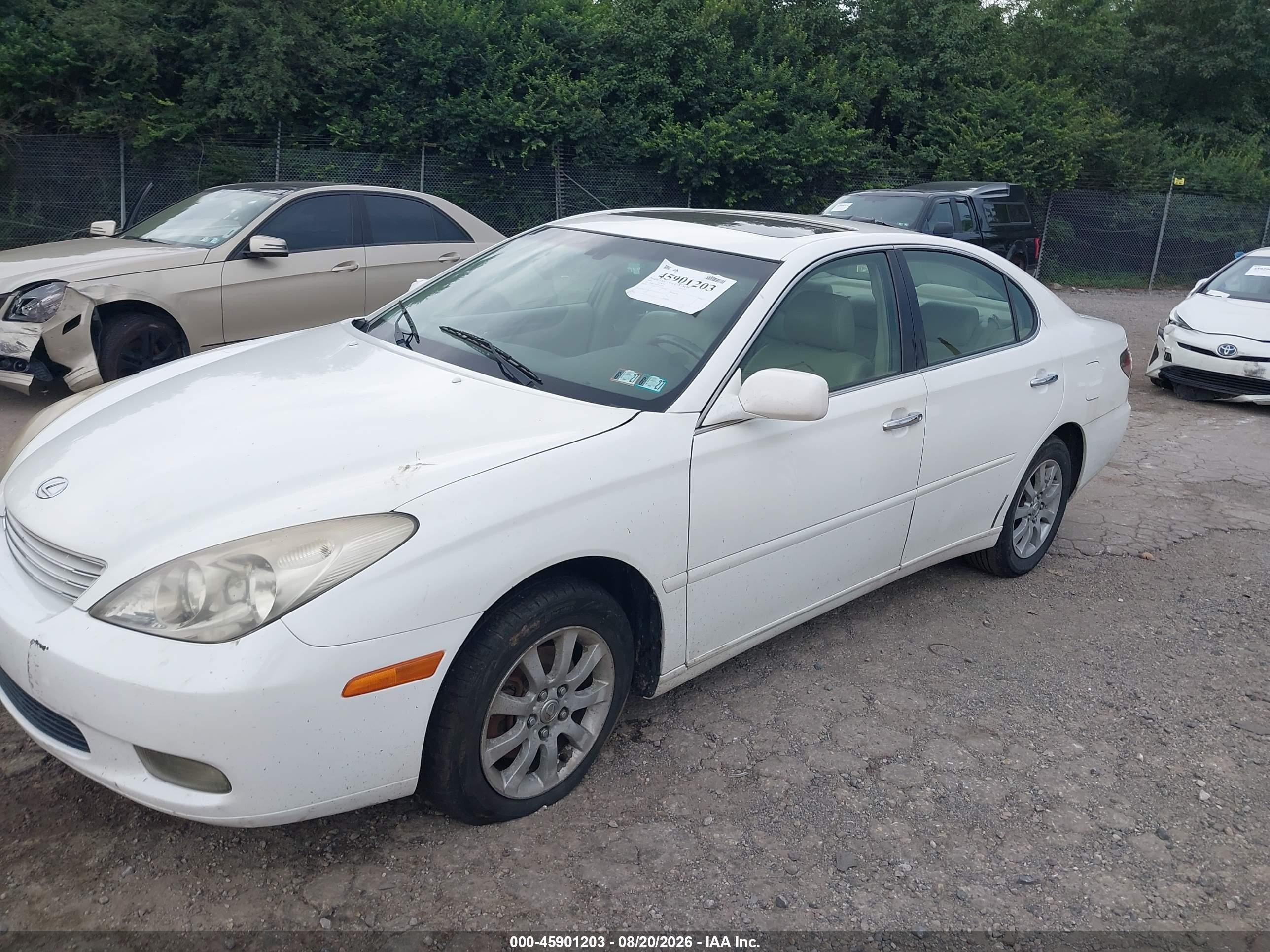 2004 Lexus Es 330   White vin: JTHBA30G845012974