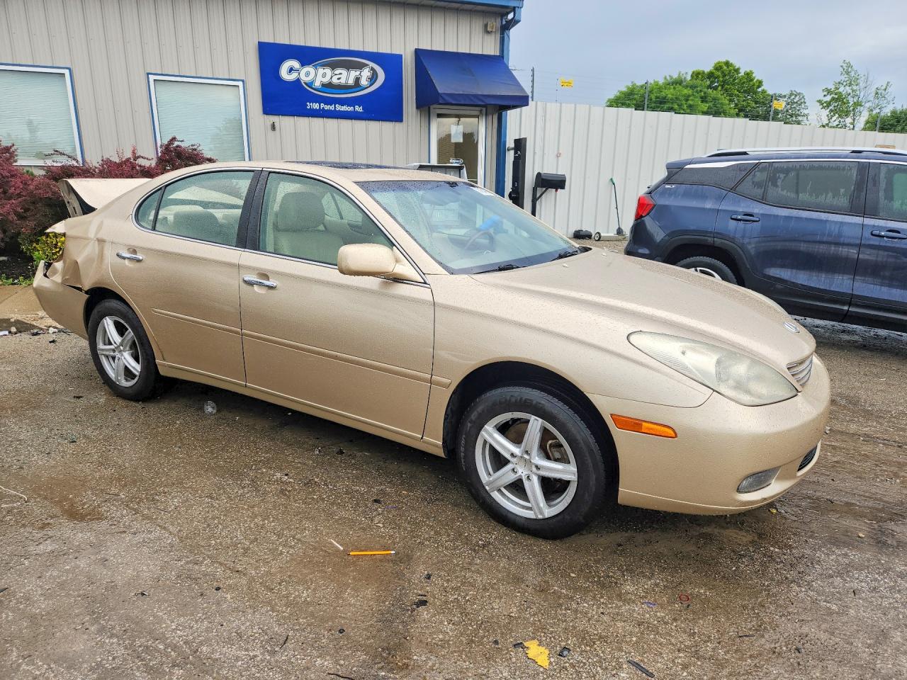 2004 Lexus Es 330 Кремовый vin: JTHBA30G845046185