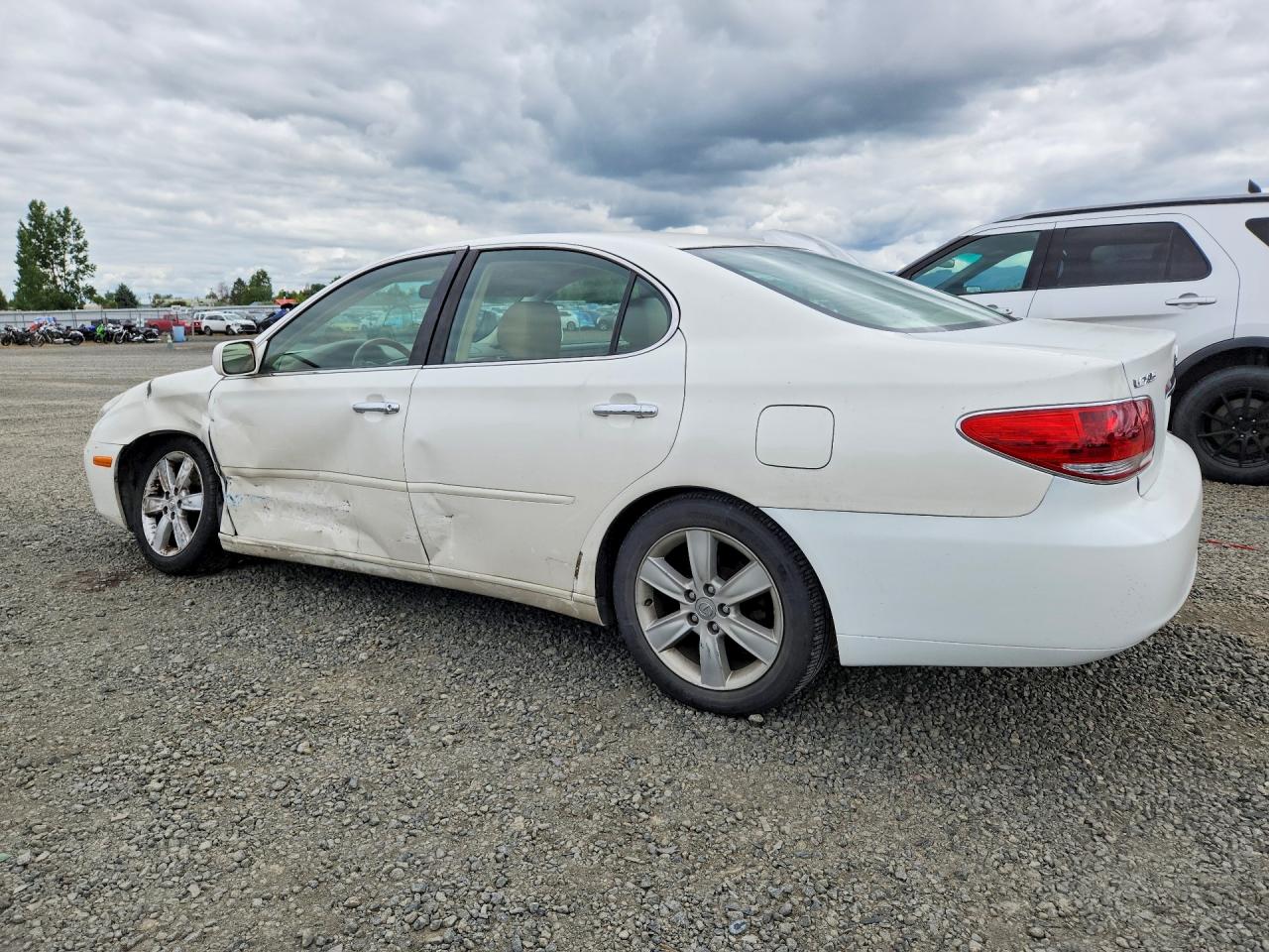 2005 Lexus Es 330 Base White vin: JTHBA30G855067622