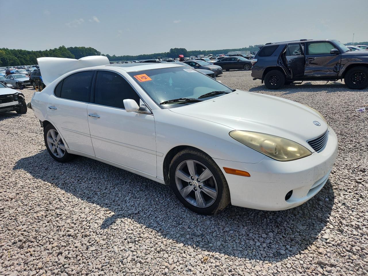 2005 Lexus Es 330 White vin: JTHBA30G855111294