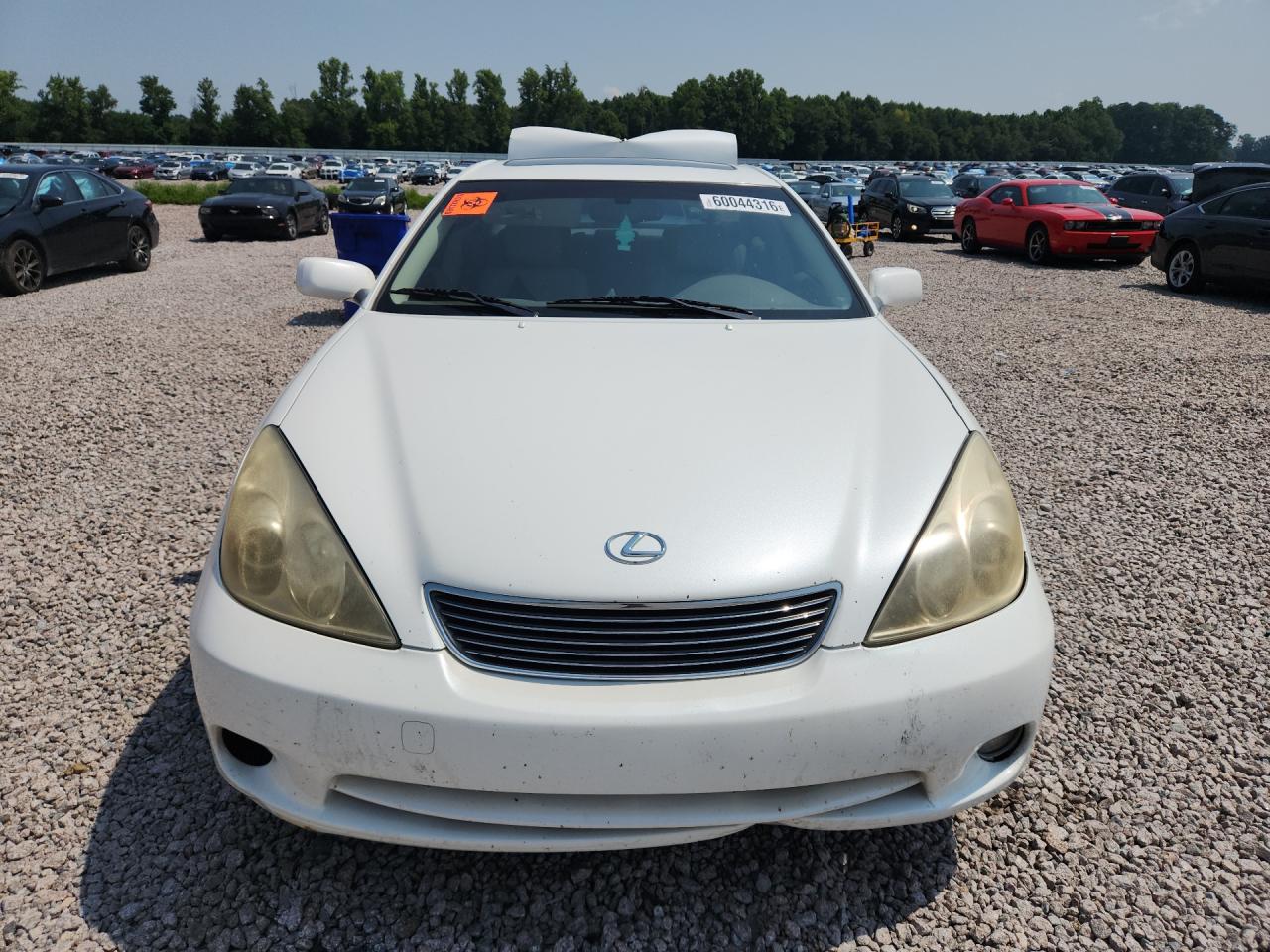 2005 Lexus Es 330 White vin: JTHBA30G855111294