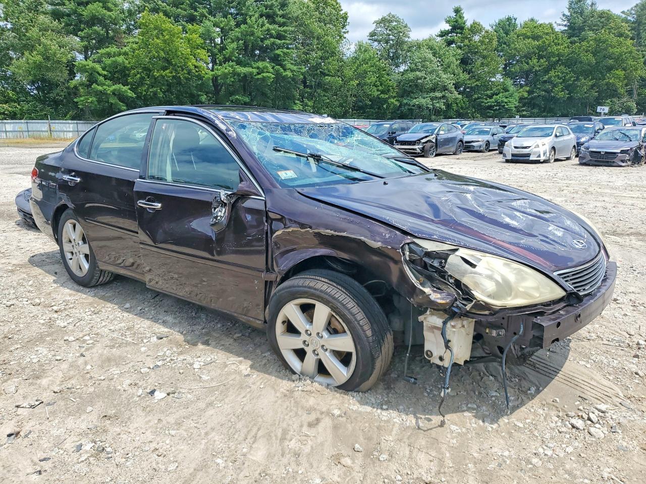 2005 Lexus Es 330 Burgundy vin: JTHBA30G855130007
