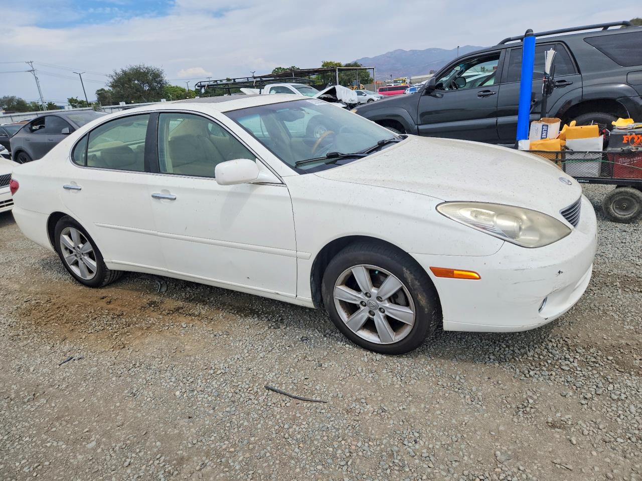 2006 Lexus Es 330 White vin: JTHBA30G865158861