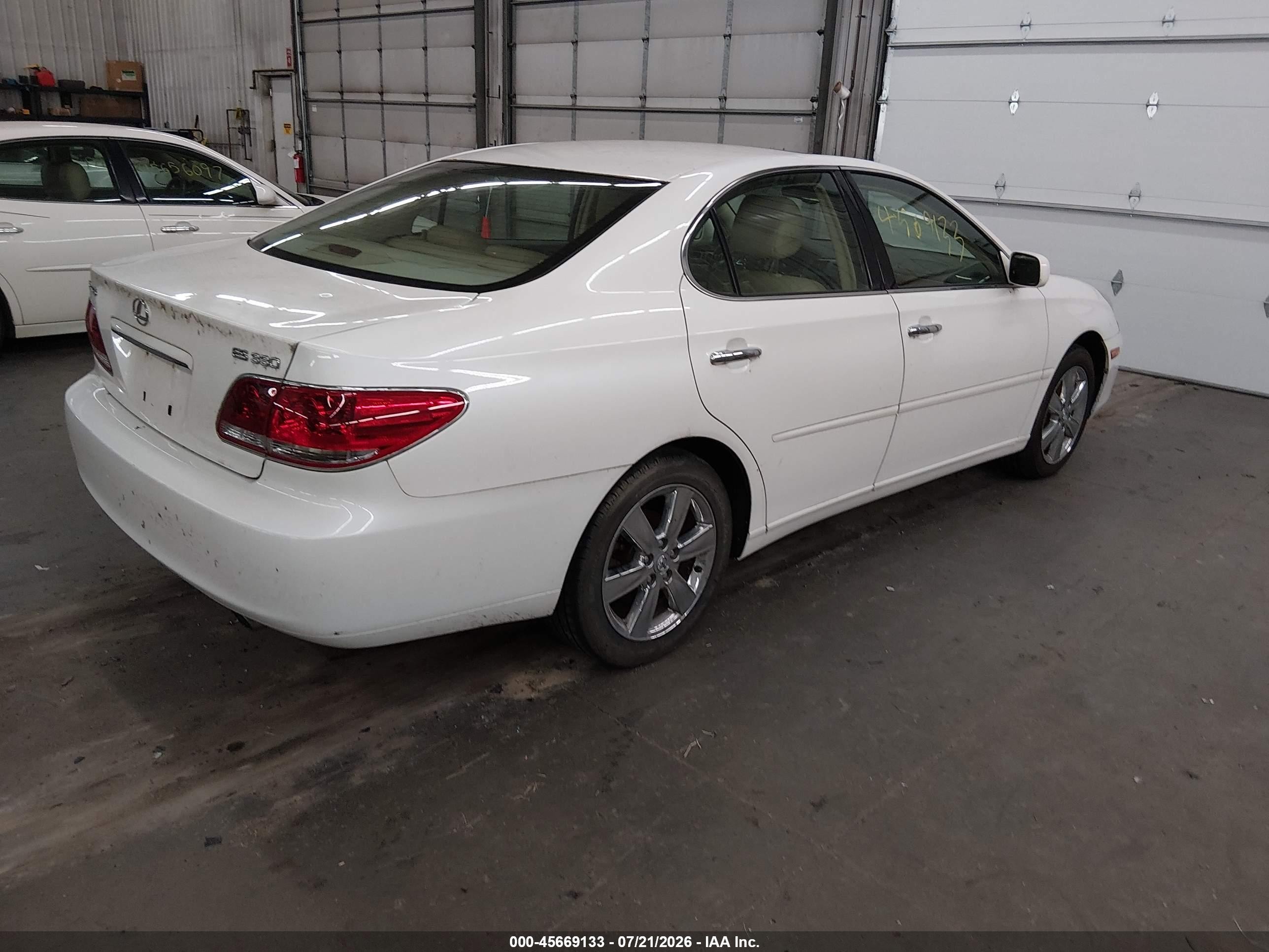 2005 Lexus Es 330   White vin: JTHBA30G955090942