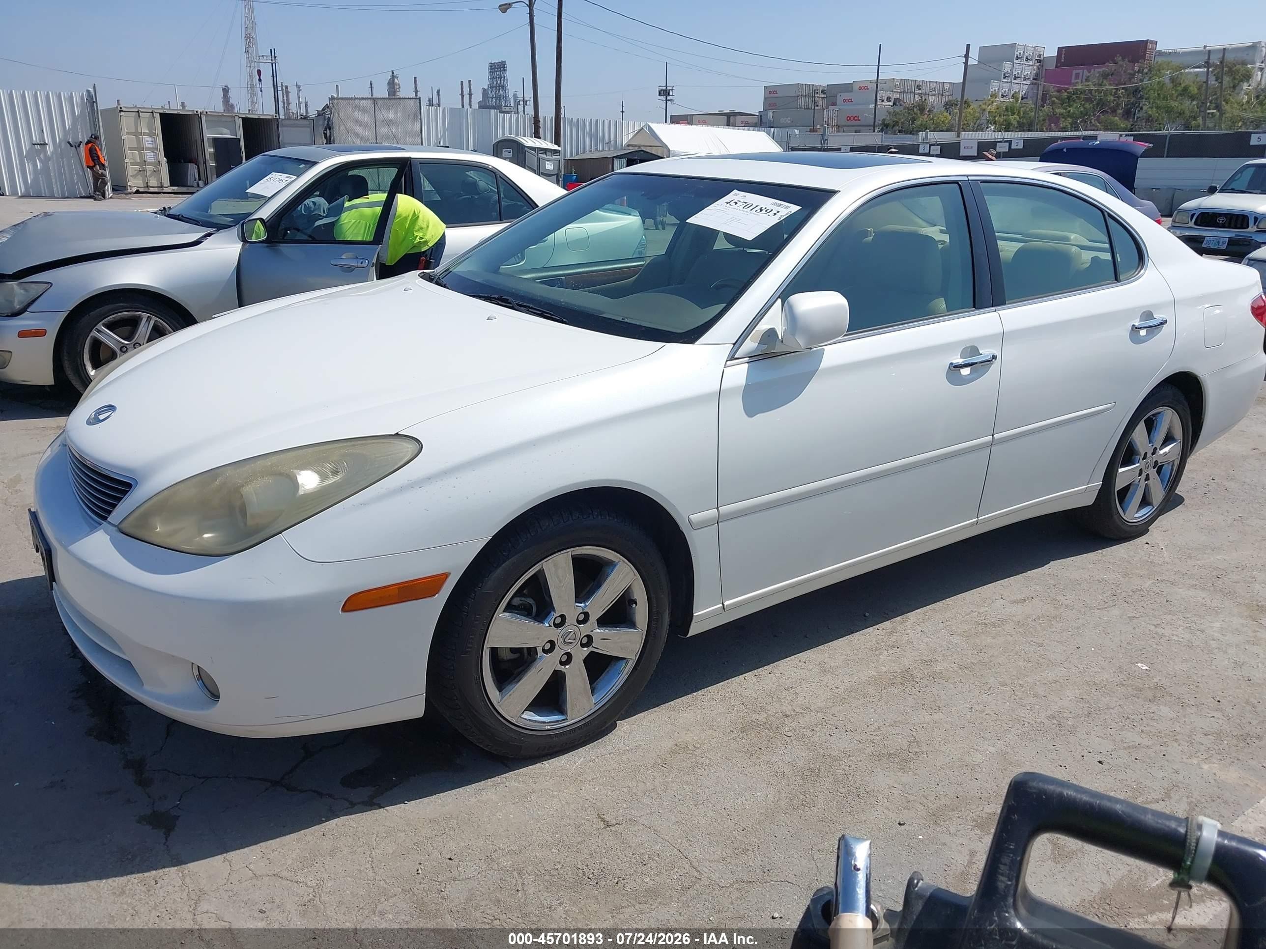 2005 Lexus Es 330   White vin: JTHBA30G955101955