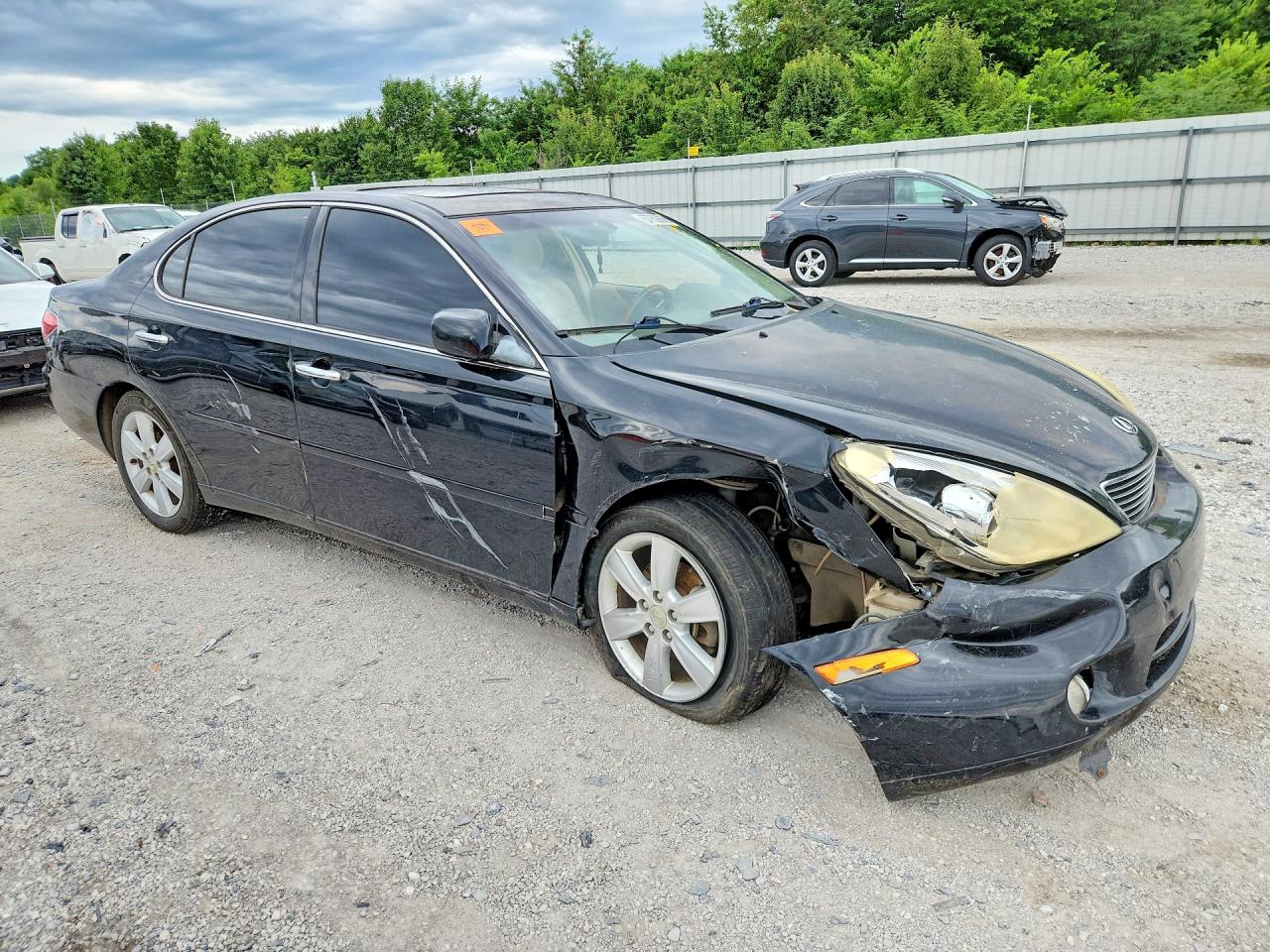 2005 Lexus Es 330 Black vin: JTHBA30G955114219