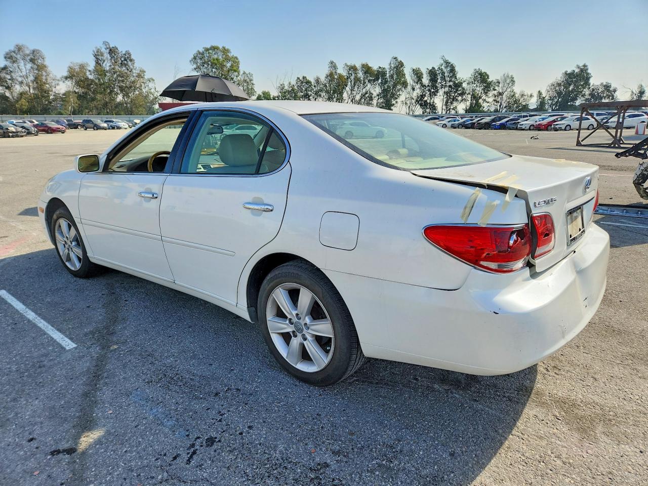 2005 Lexus Es330 Белый vin: JTHBA30G955124782