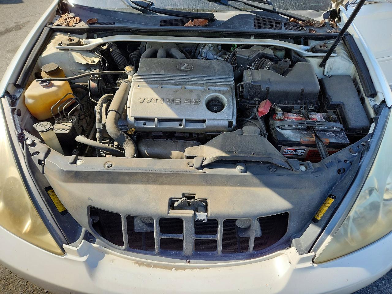 2005 Lexus Es330 Белый vin: JTHBA30G955124782