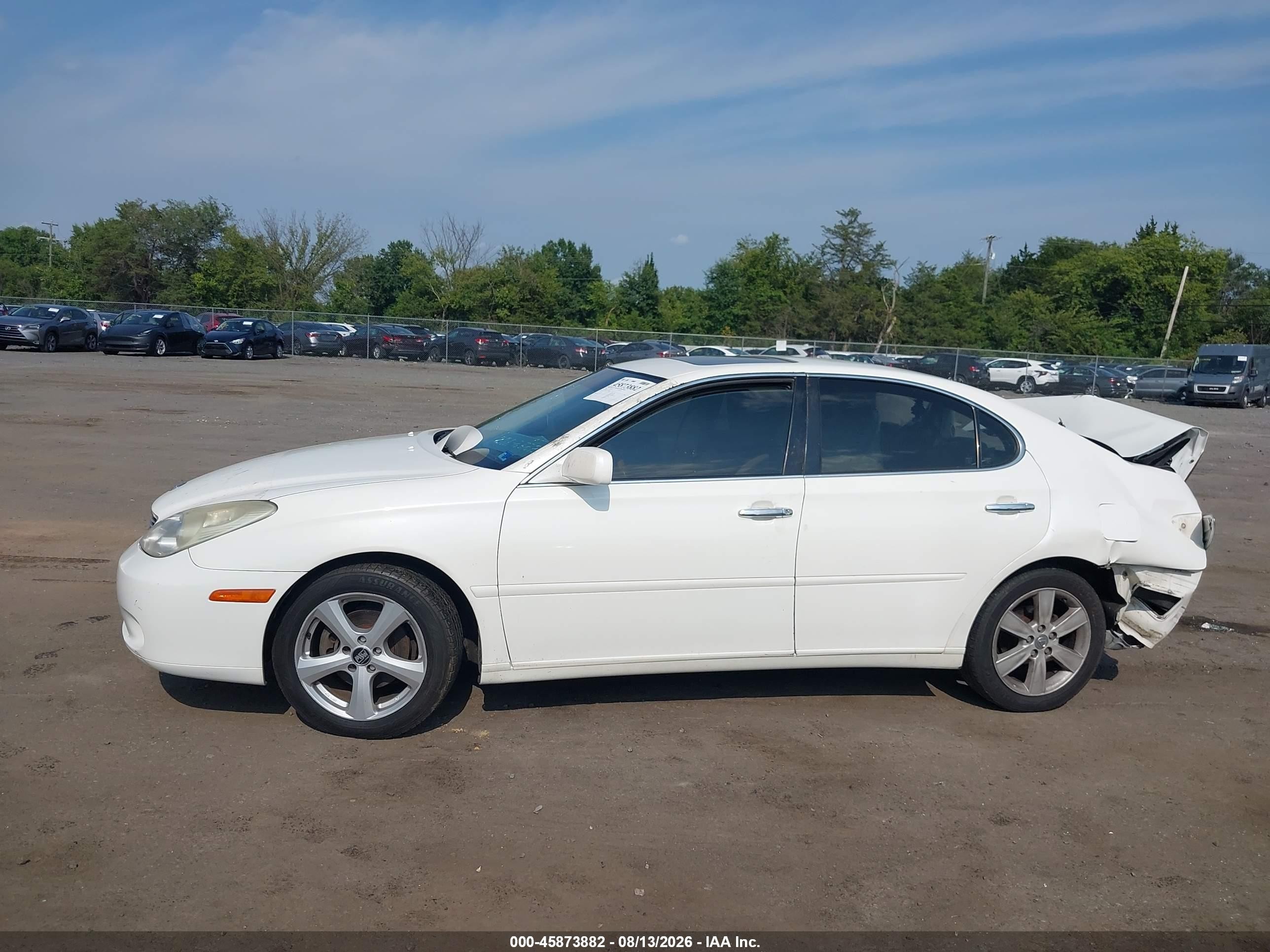 2005 Lexus Es 330   White vin: JTHBA30G955126970