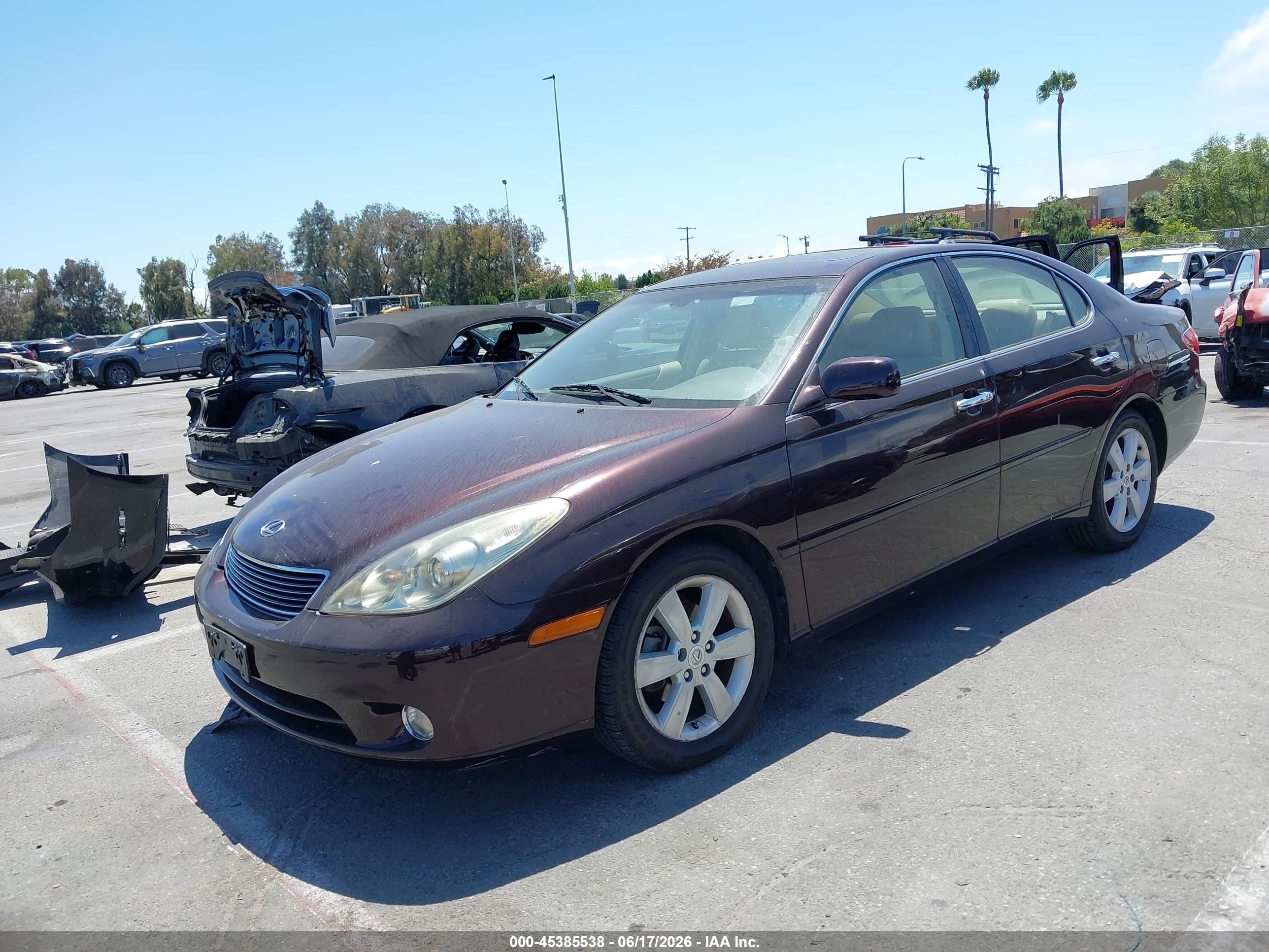2005 Lexus Es 330 Purple vin: JTHBA30G955127259