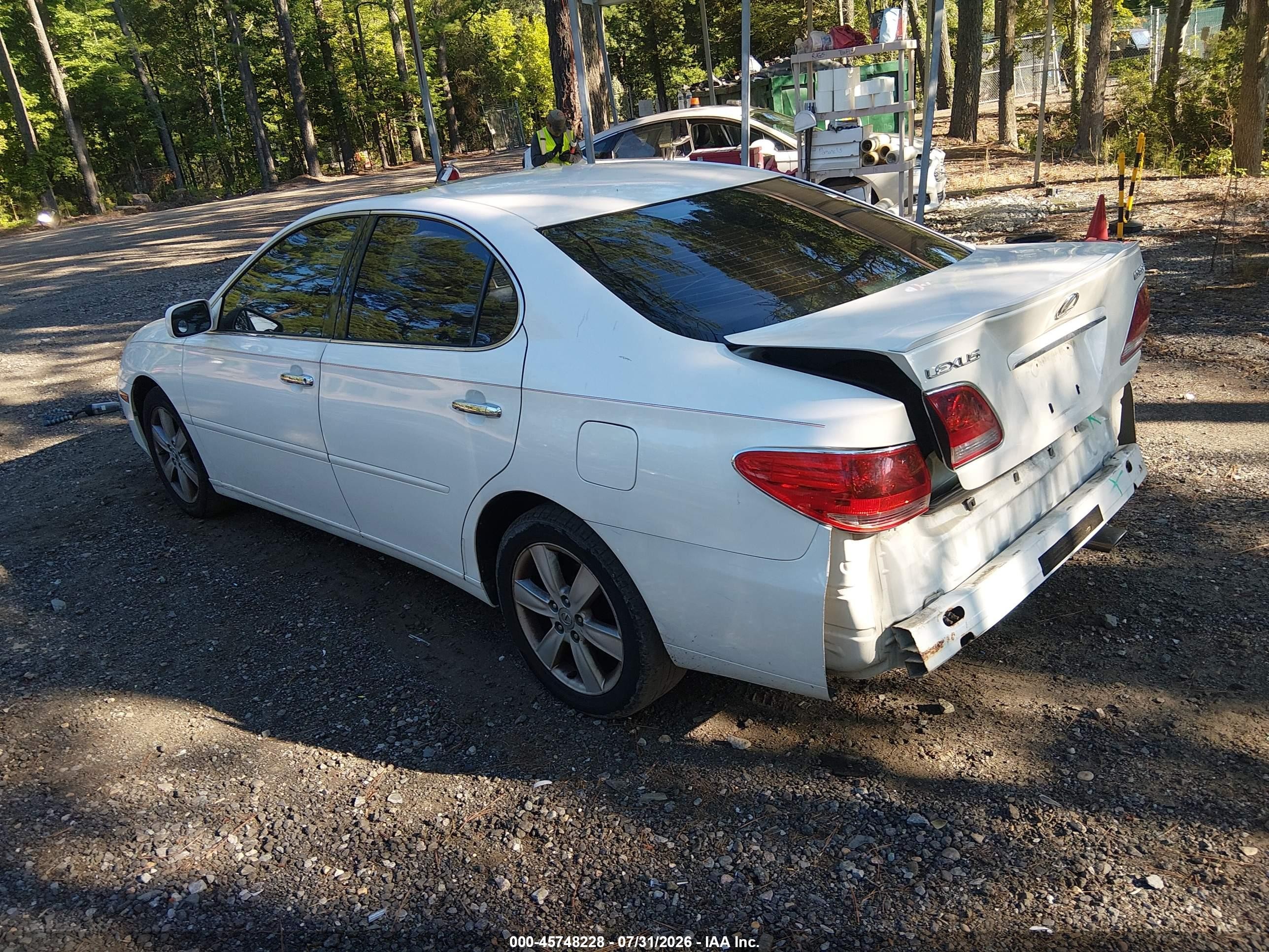 2005 Lexus Es 330   White vin: JTHBA30G955134714