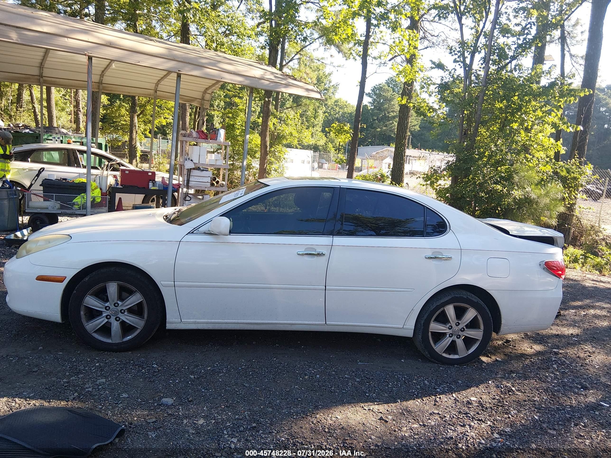2005 Lexus Es 330   White vin: JTHBA30G955134714