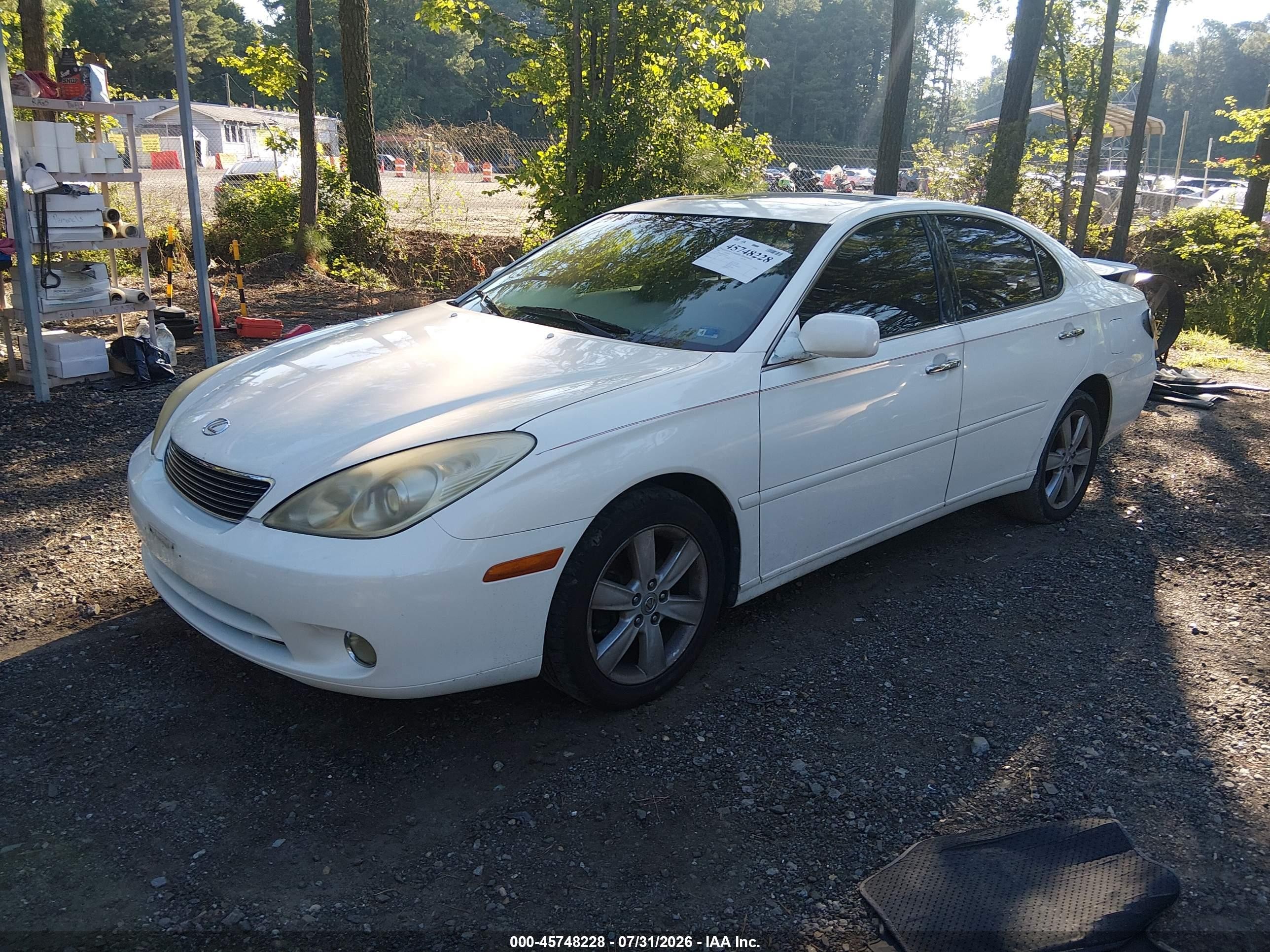 2005 Lexus Es 330   White vin: JTHBA30G955134714